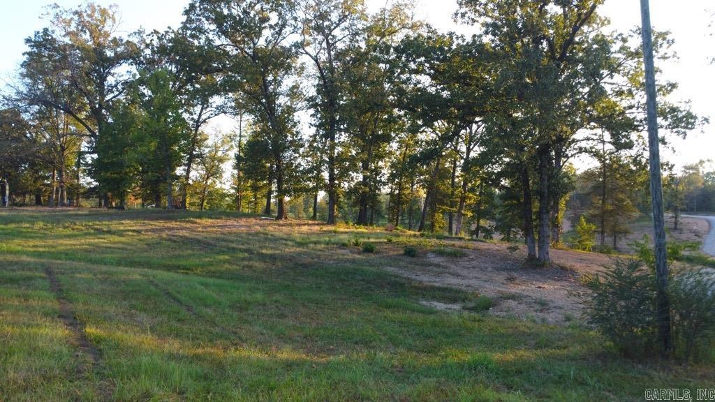 Tbd (tract 04) Gran's Way Property Photo 32