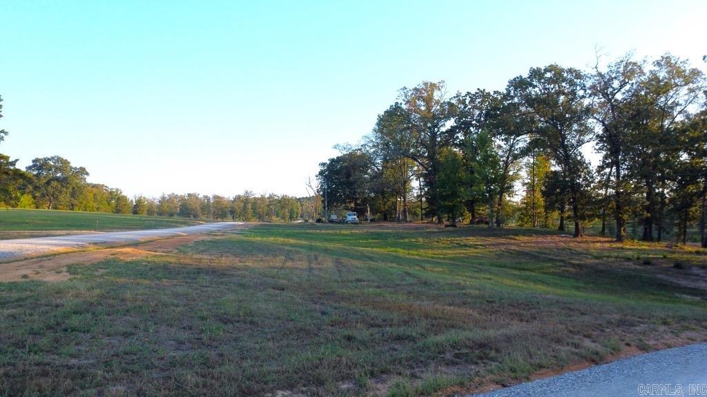 Tbd (tract 04) Gran's Way Property Photo 33