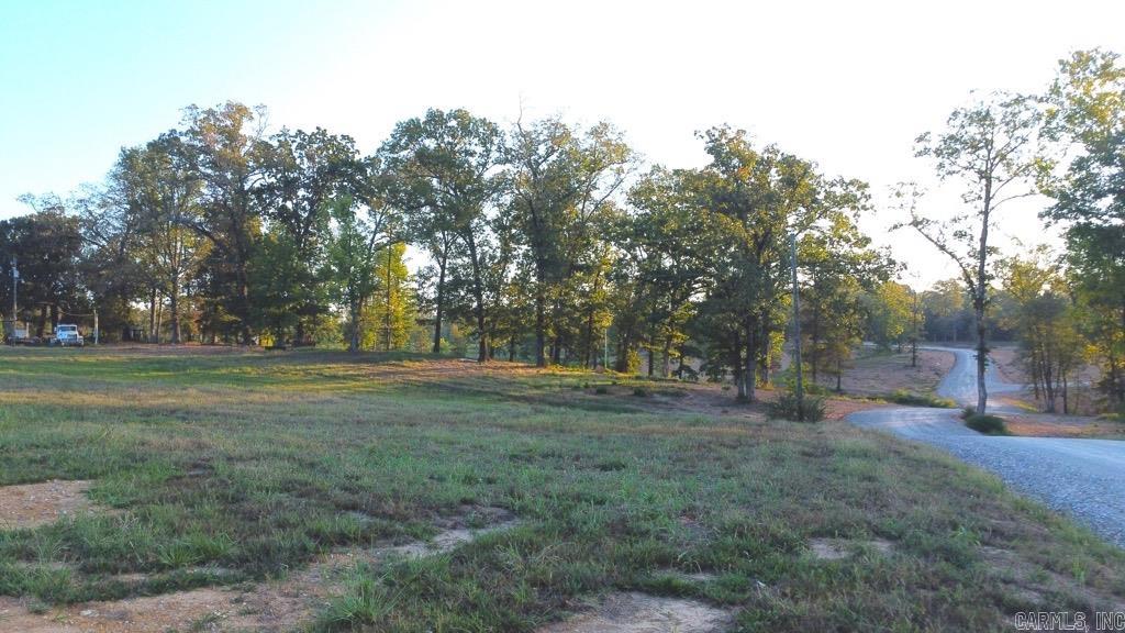Tbd (tract 04) Gran's Way Property Photo 34