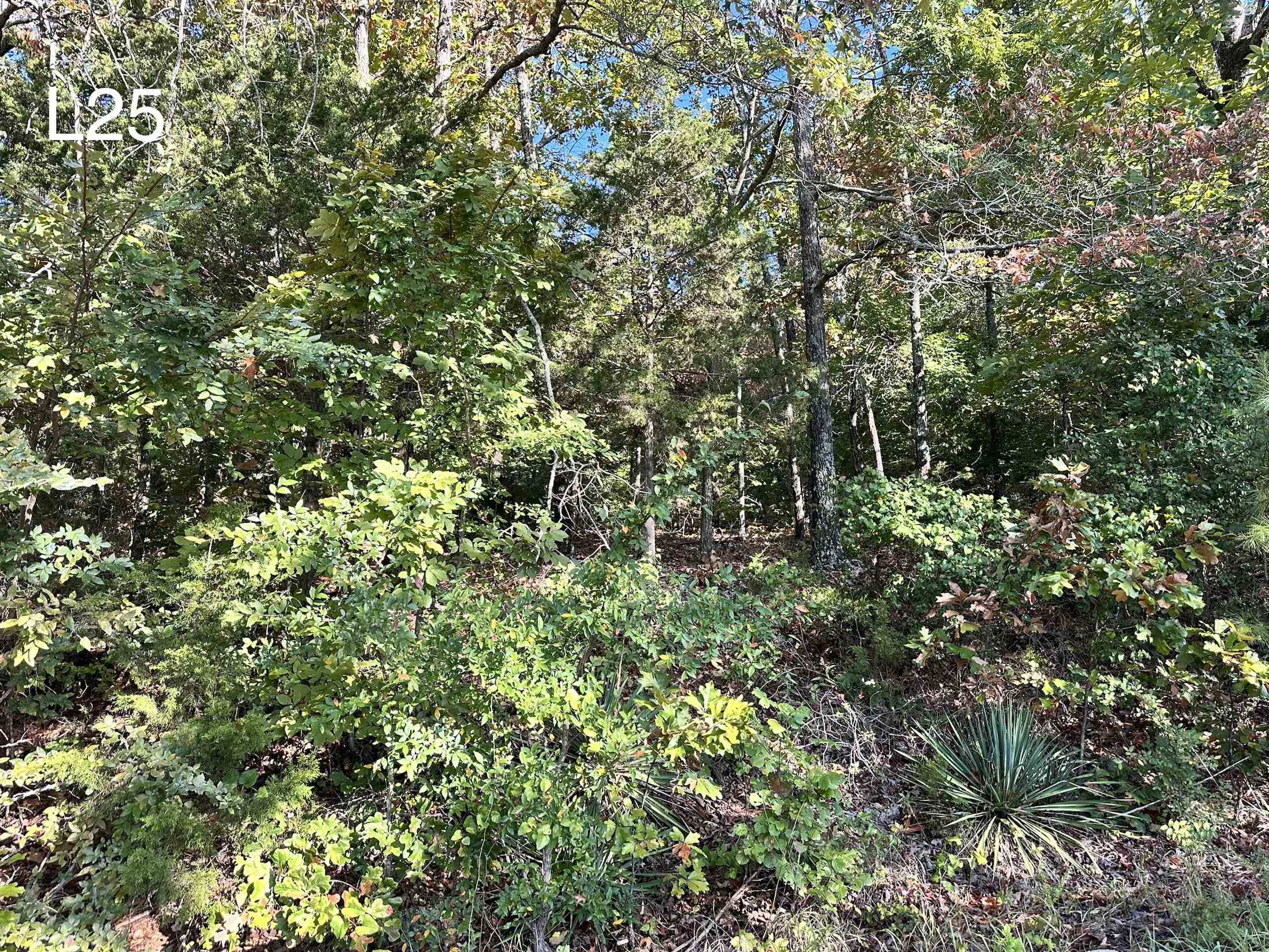 Tbd Enid Dr Drive Property Photo 1