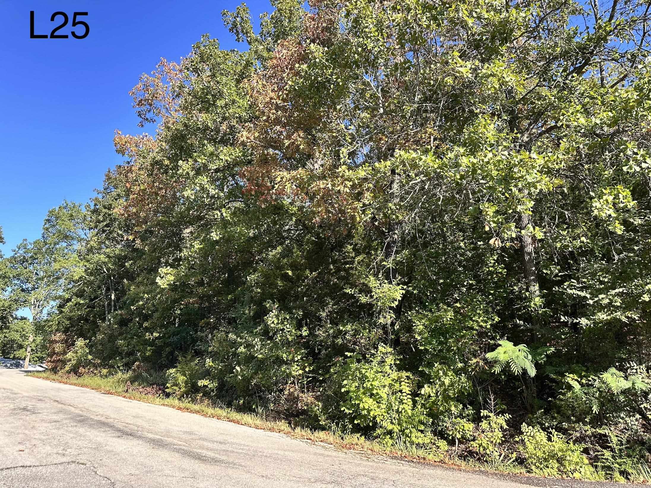 Tbd Enid Dr Drive Property Photo 2