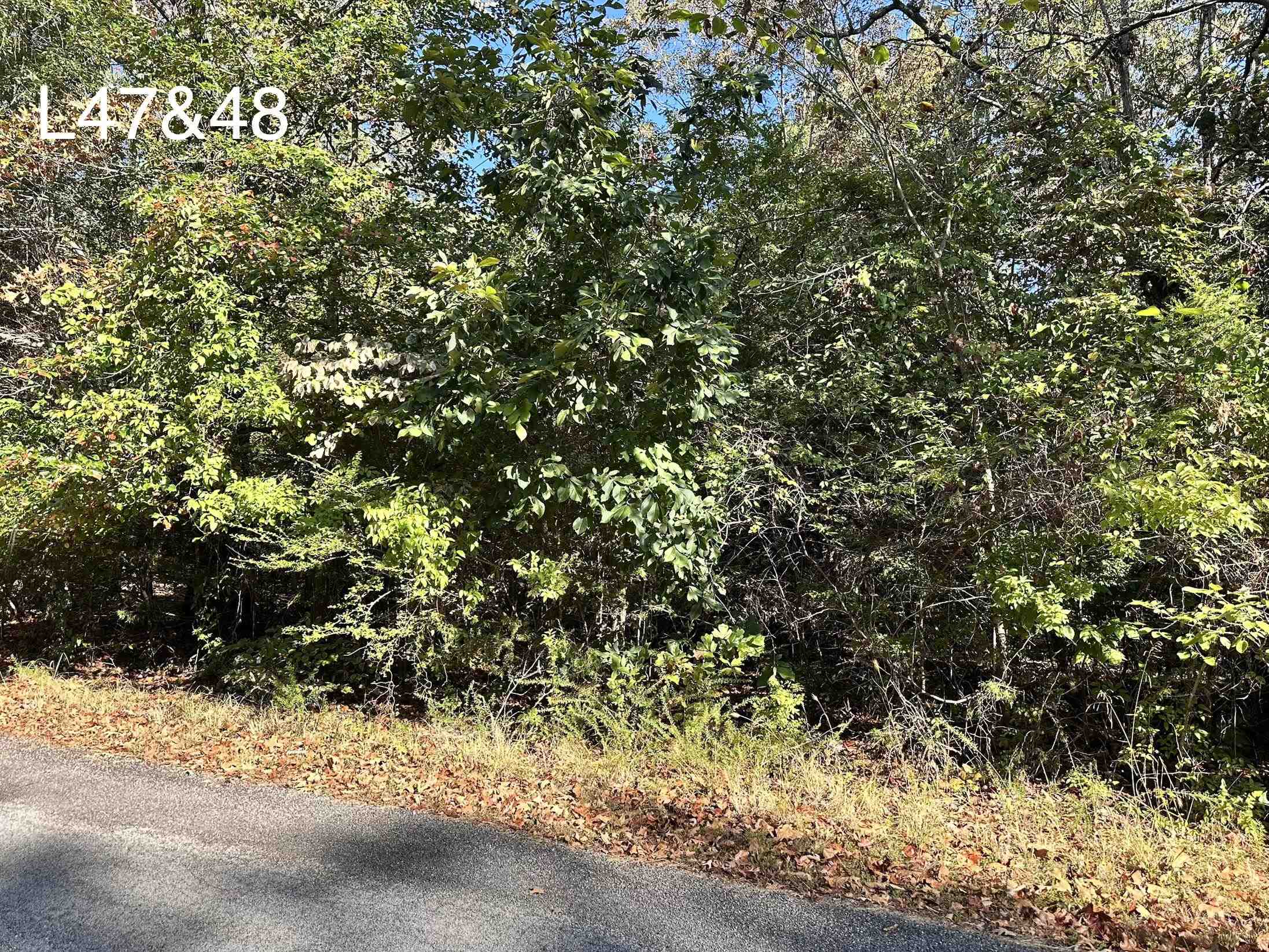 Tbd Poteau Drive Property Photo 1