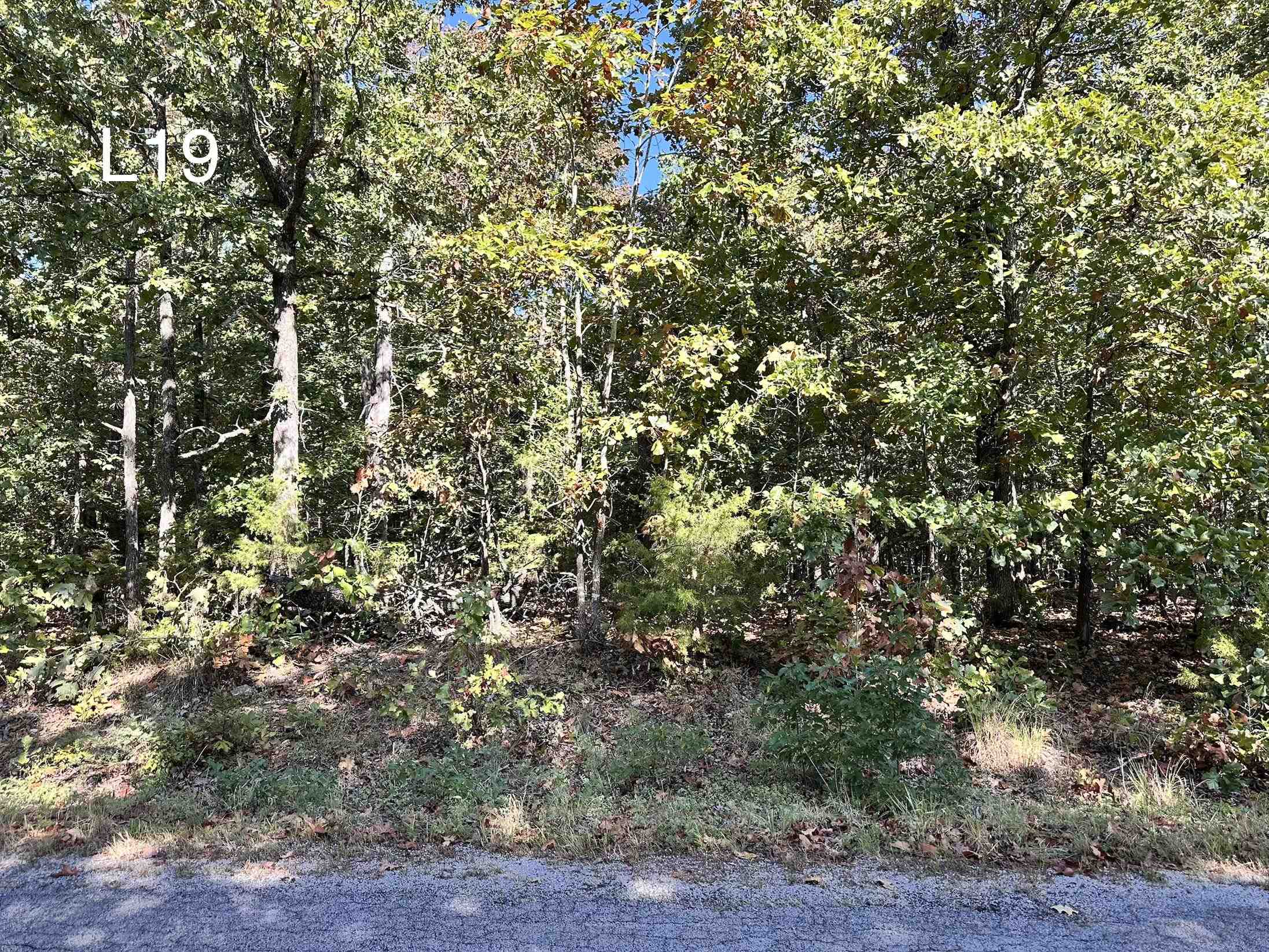 TBD Nioka Dr Drive Property Photo 1