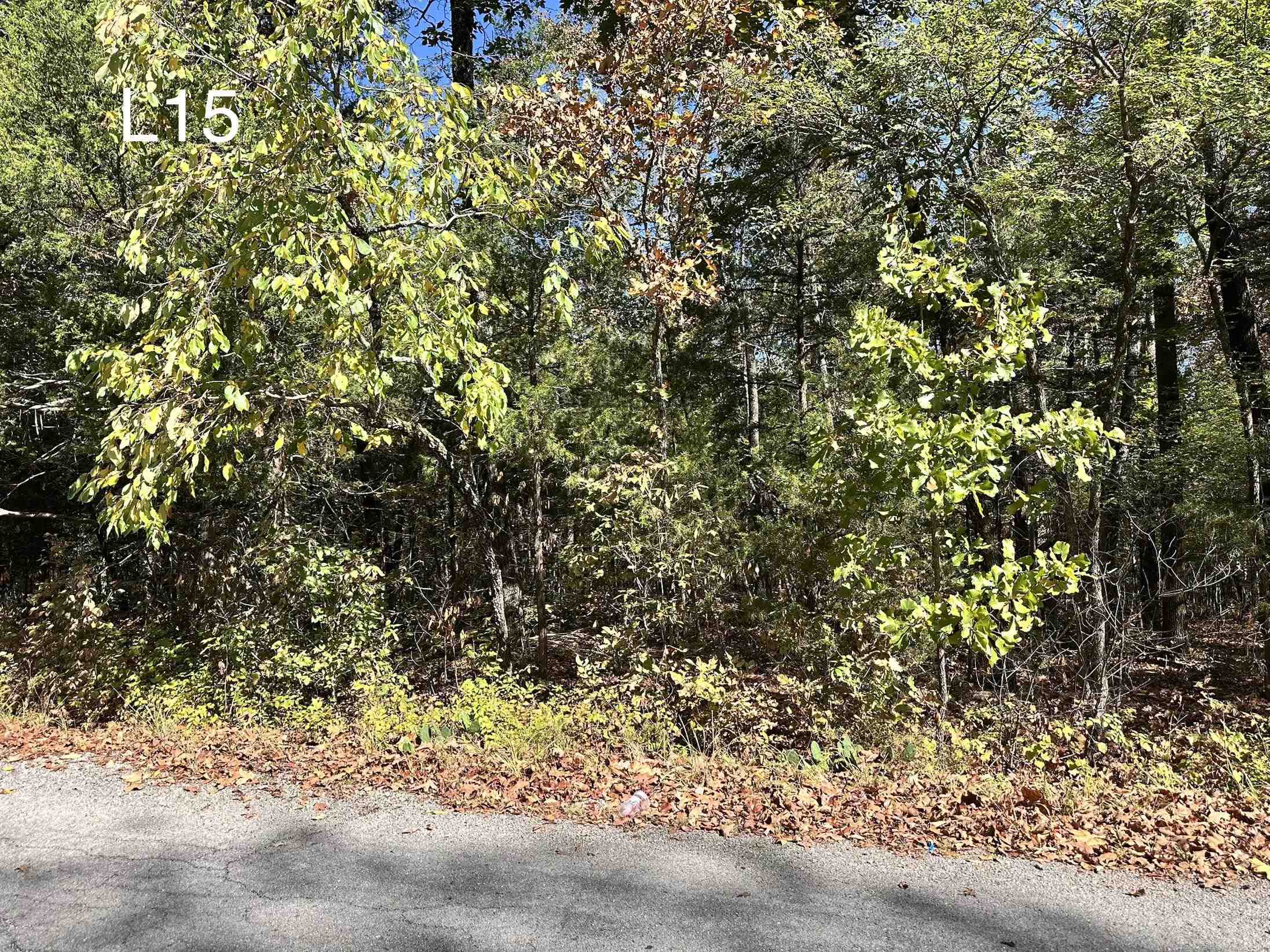 TBD Ozoo Cir Circle Property Photo 1