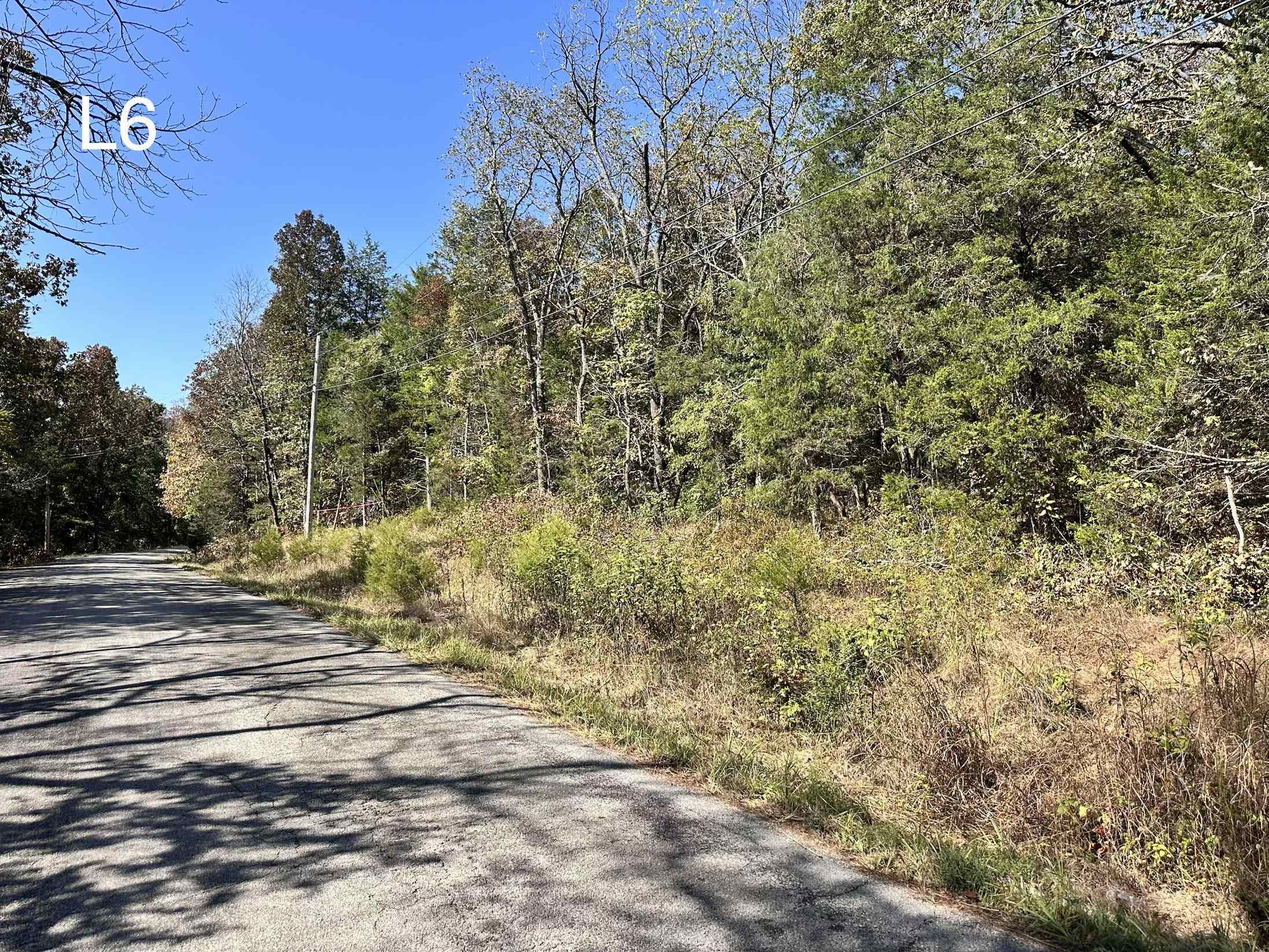 Tbd Spring Water Dr Drive Property Photo 3