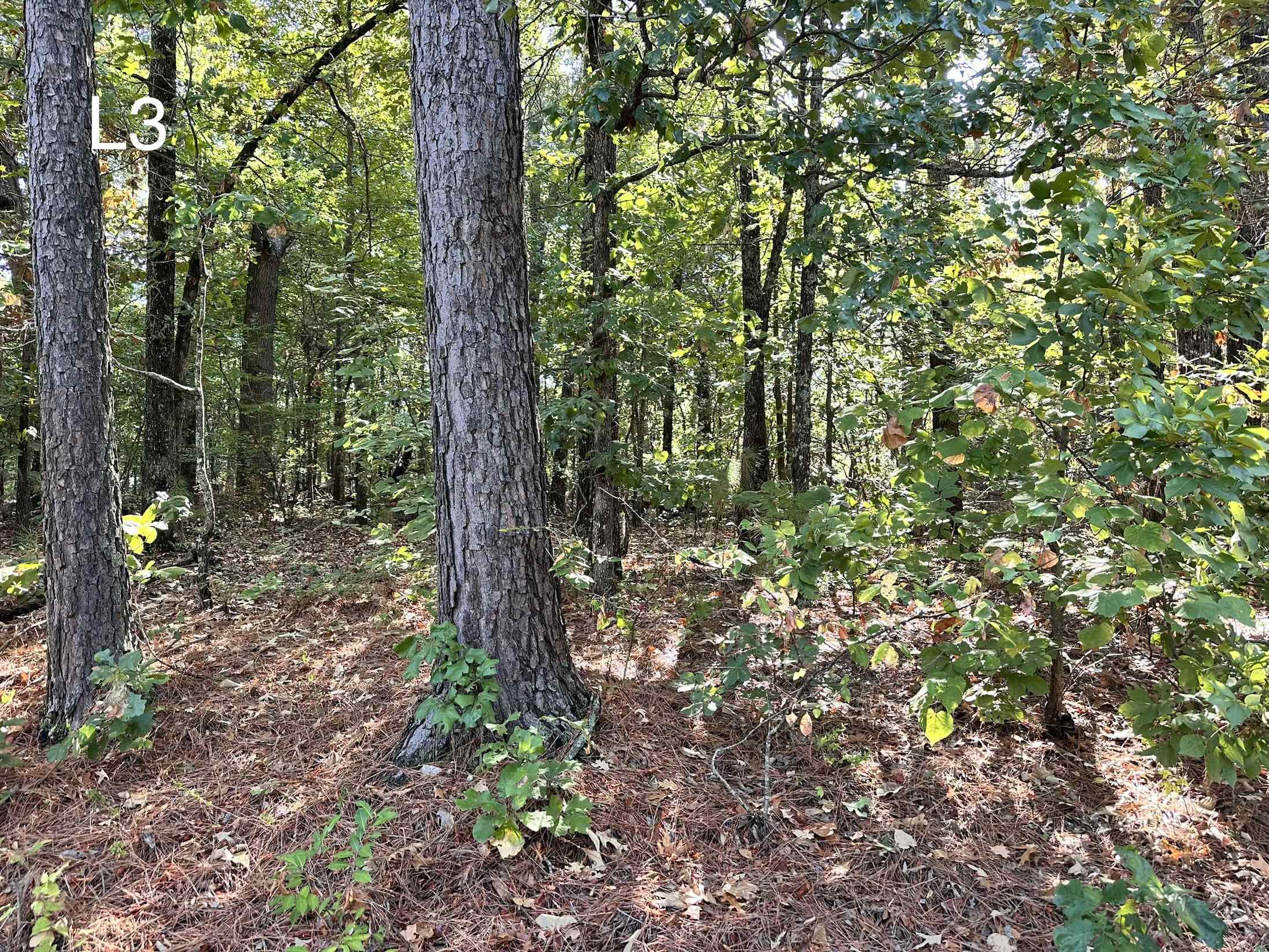 Tbd Pottawattamie Dr Drive Property Photo 1