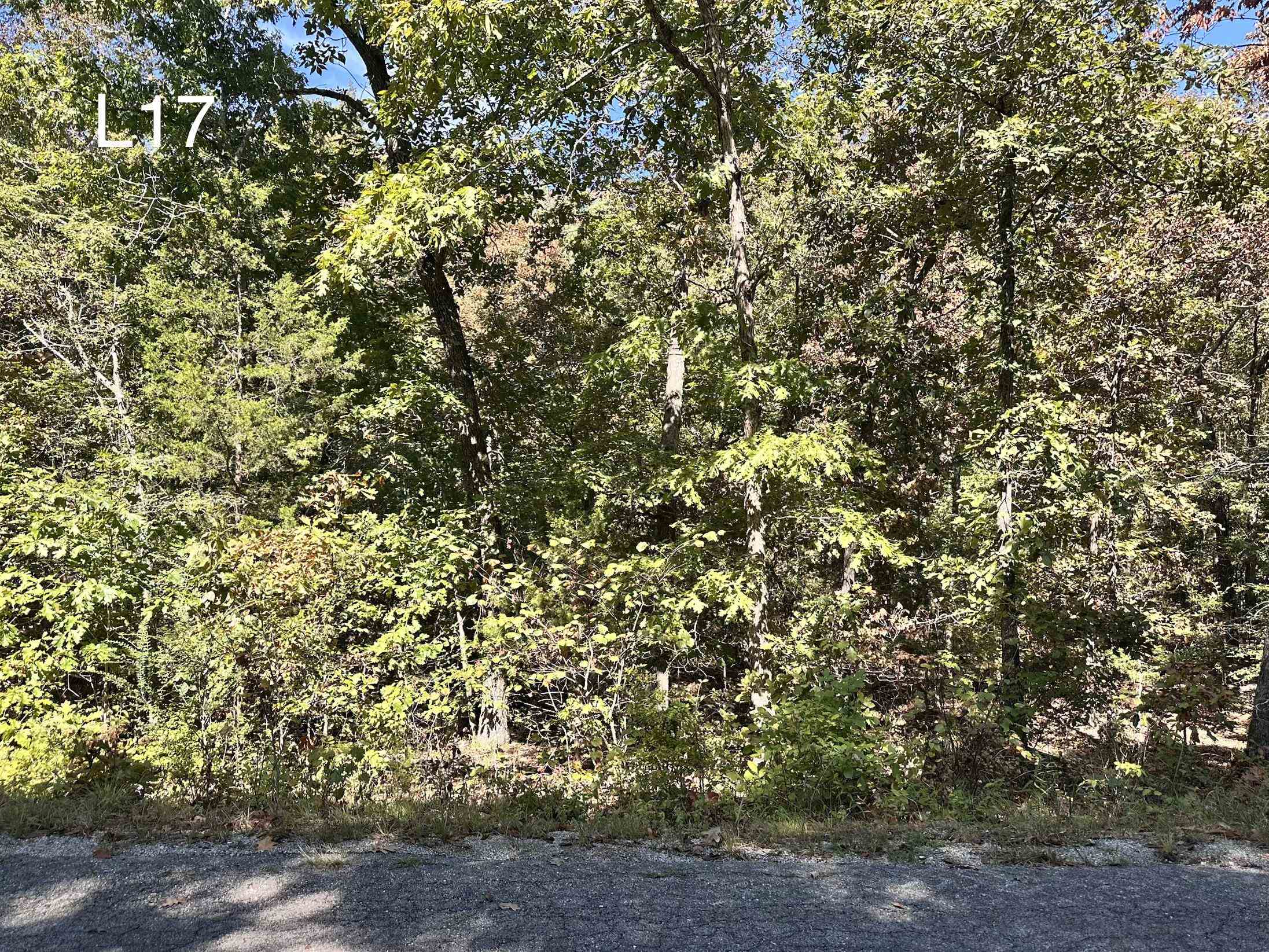 Tbd Seneca Dr Drive Property Photo 1