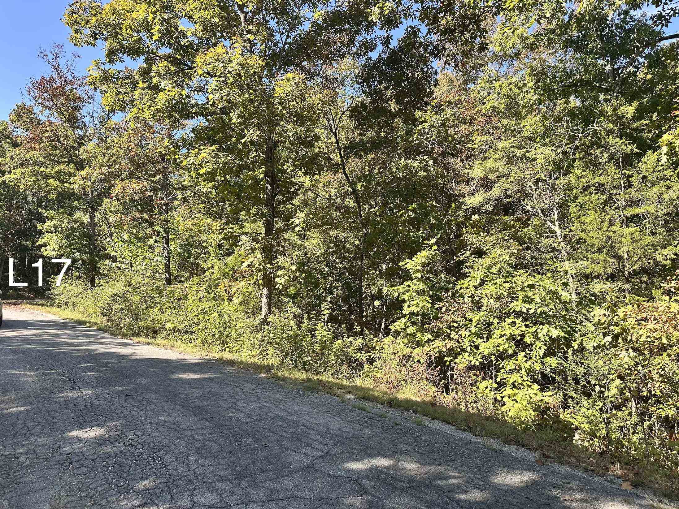 Tbd Seneca Dr Drive Property Photo 3
