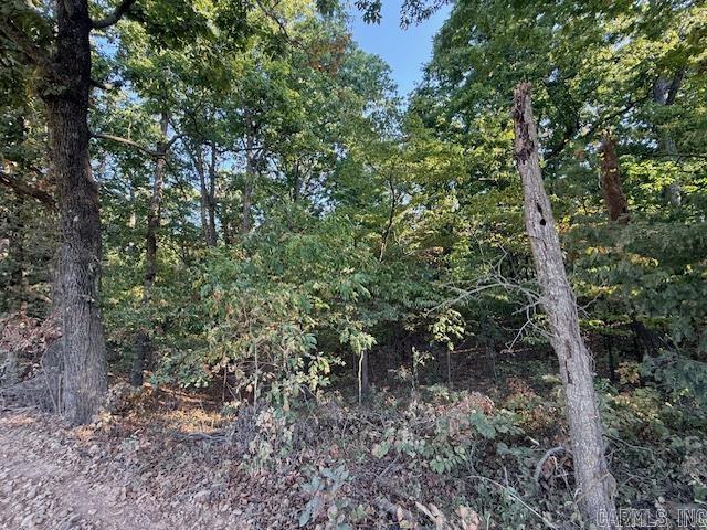 6.3 Acres Gr 326 And Gr 333 Road Property Photo 8