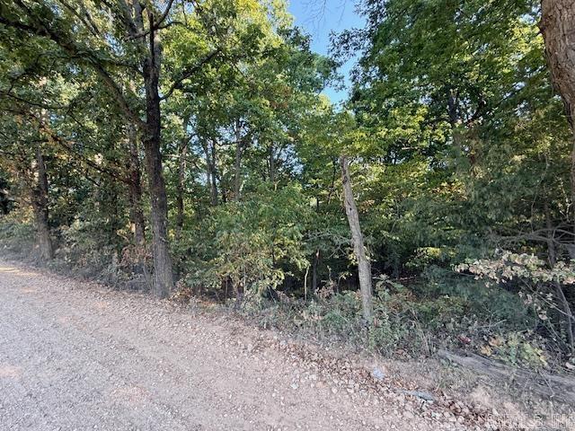 6.3 Acres Gr 326 And Gr 333 Road Property Photo 9