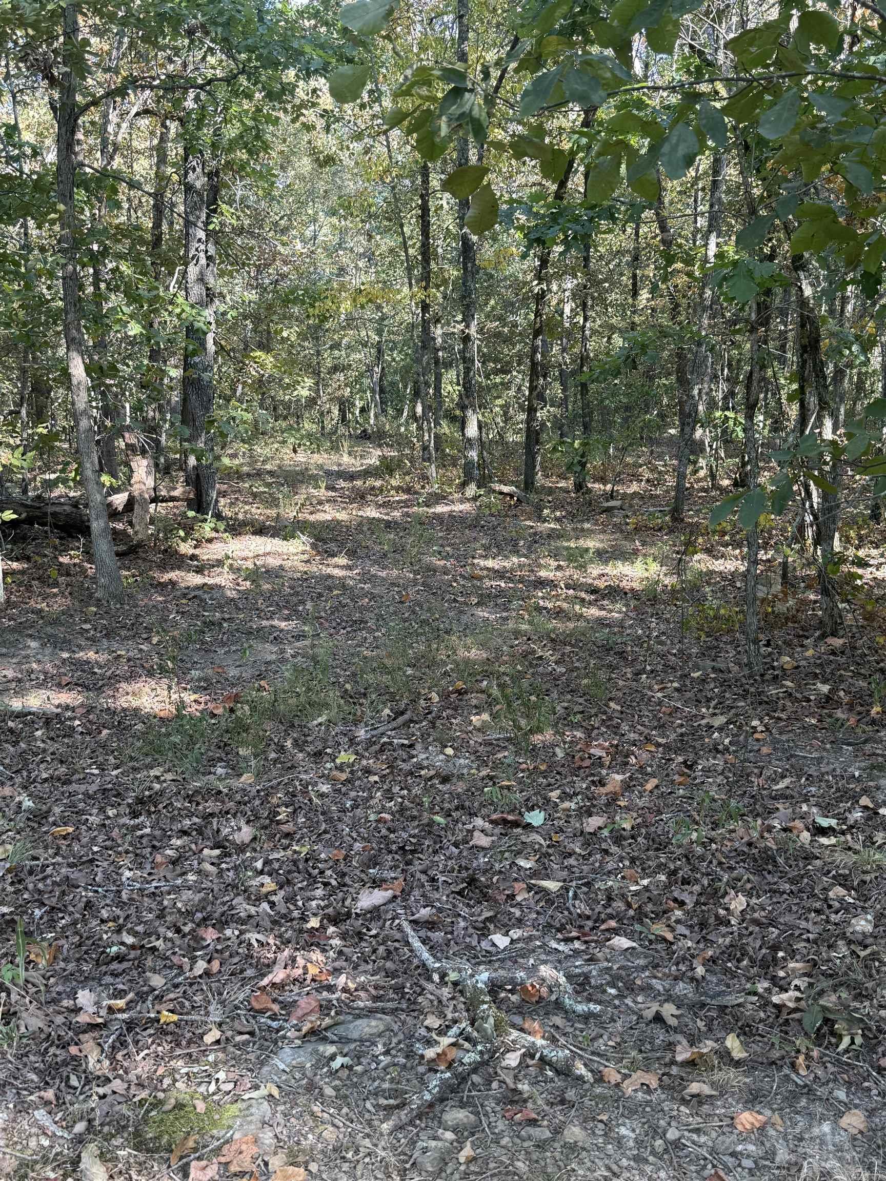 305 Deer Run Road Property Photo 23