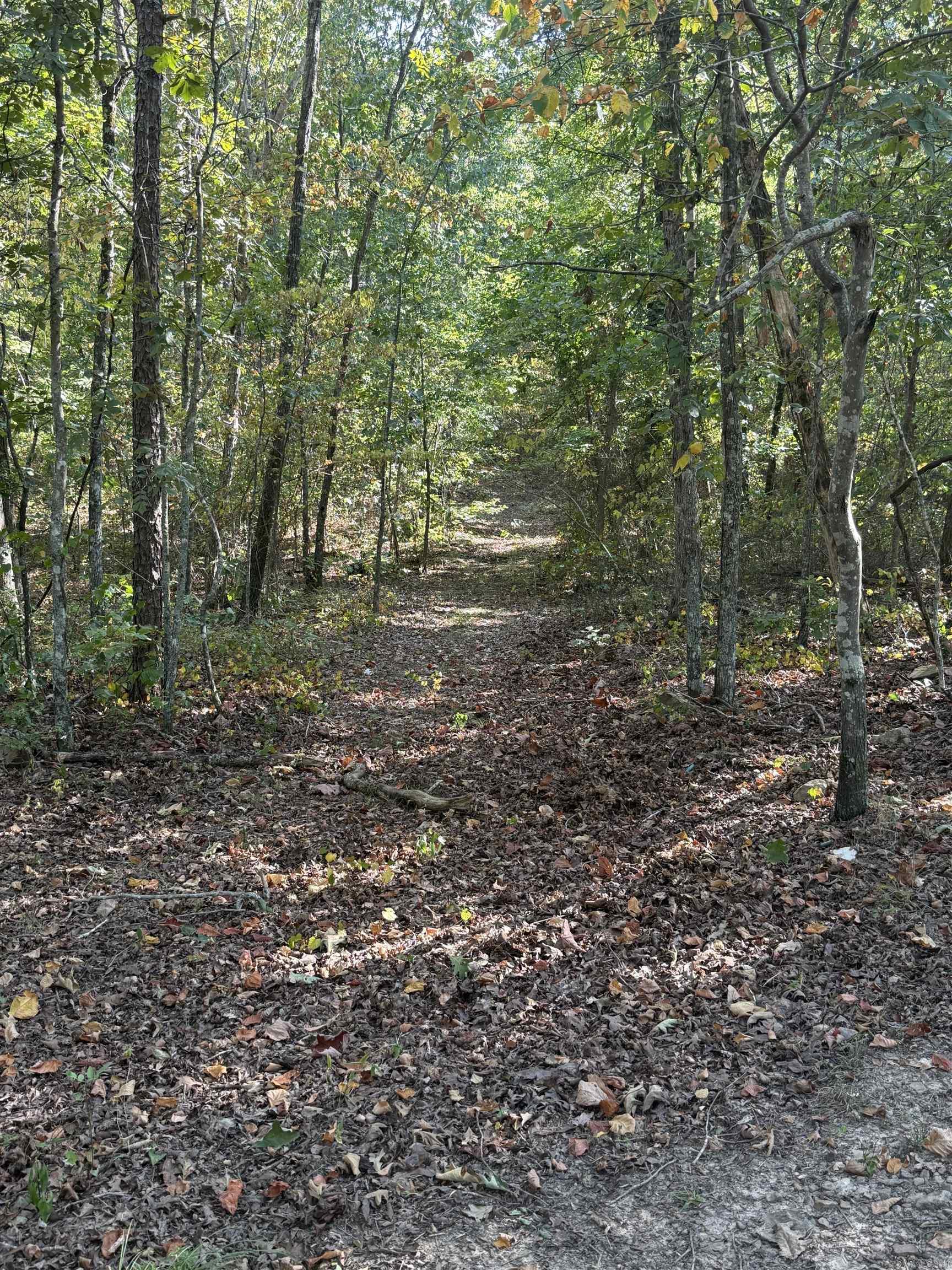 305 Deer Run Road Property Photo 24