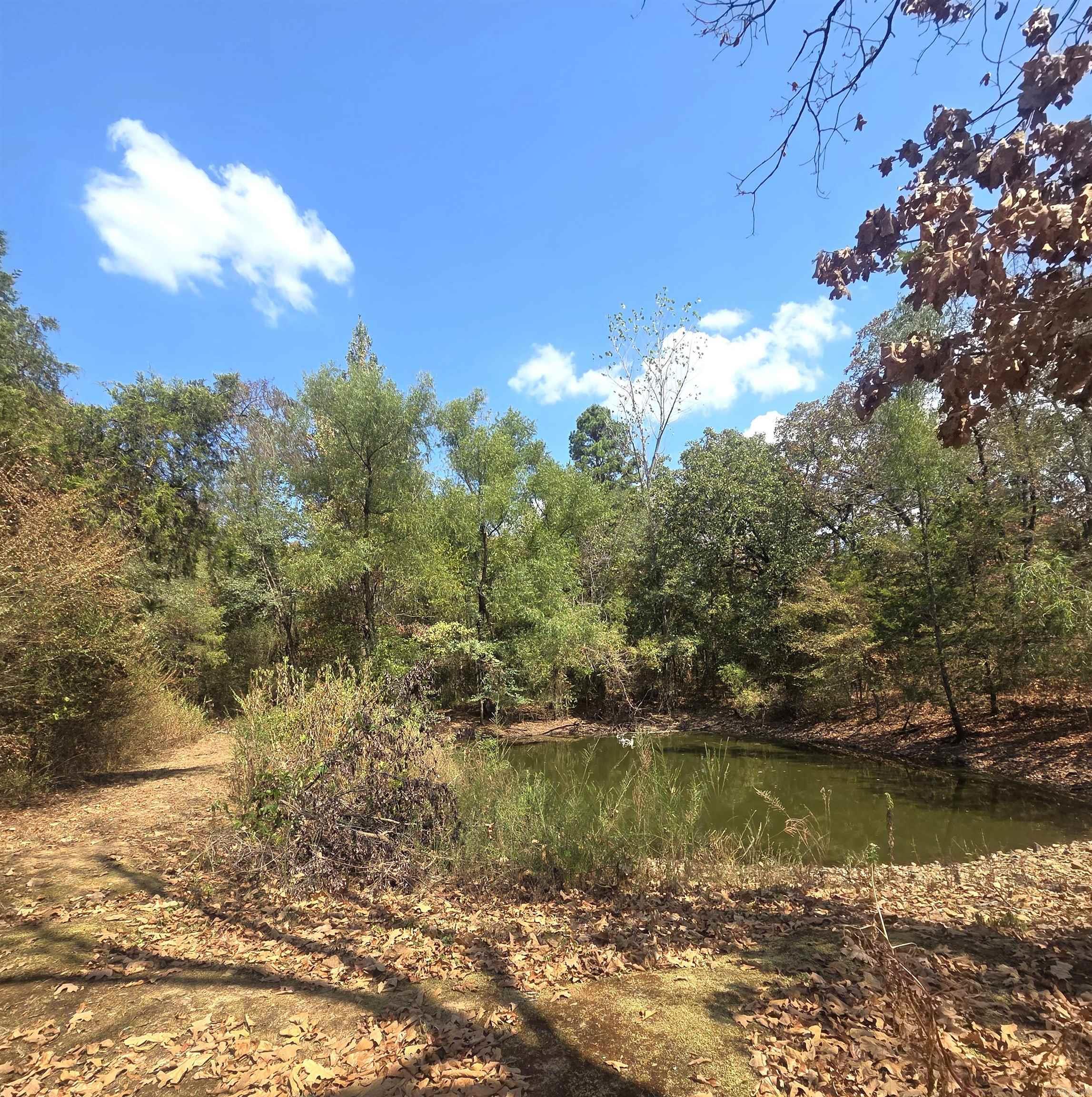 4675 Dooley Road Property Photo 25