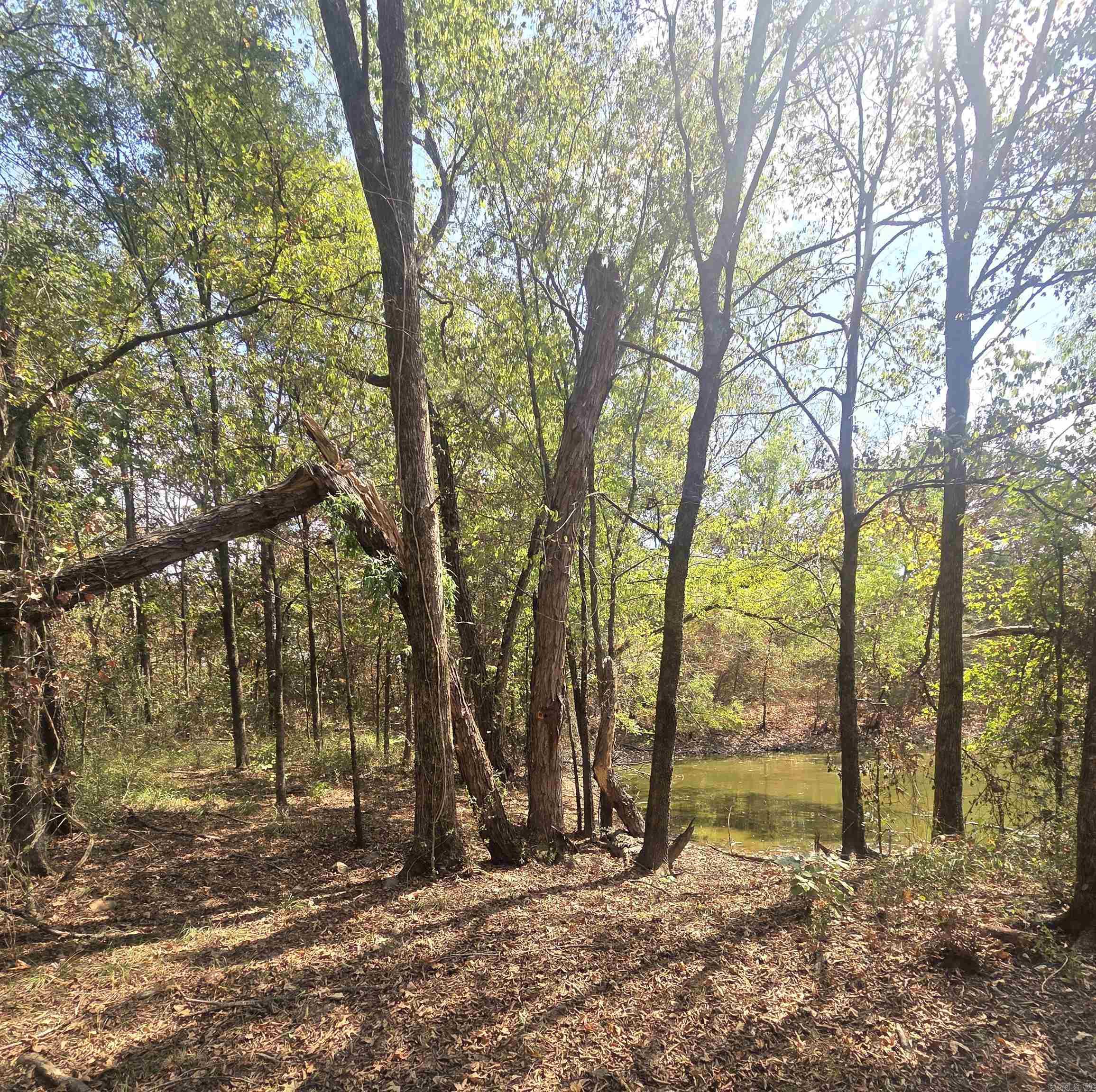 4675 Dooley Road Property Photo 26