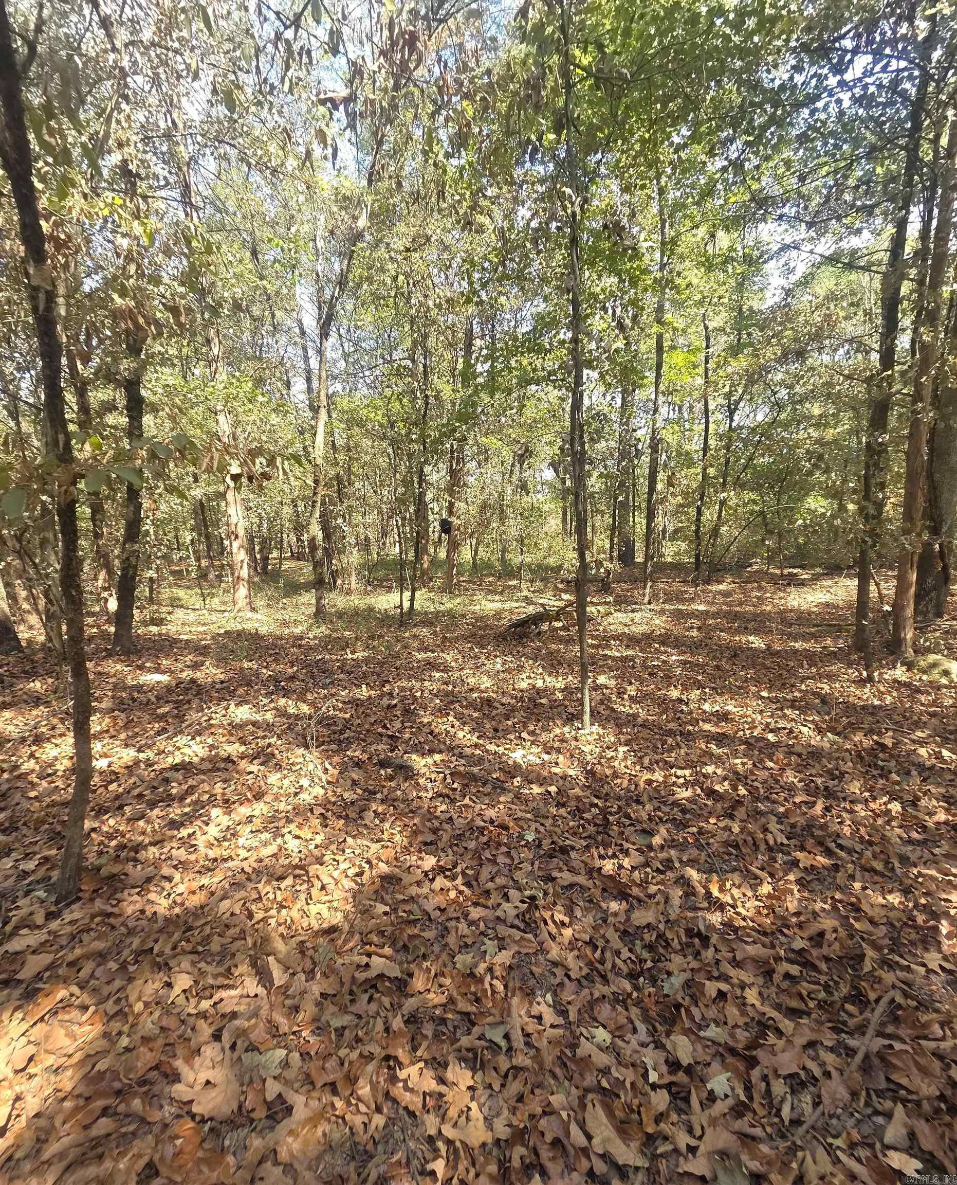 4675 Dooley Road Property Photo 27