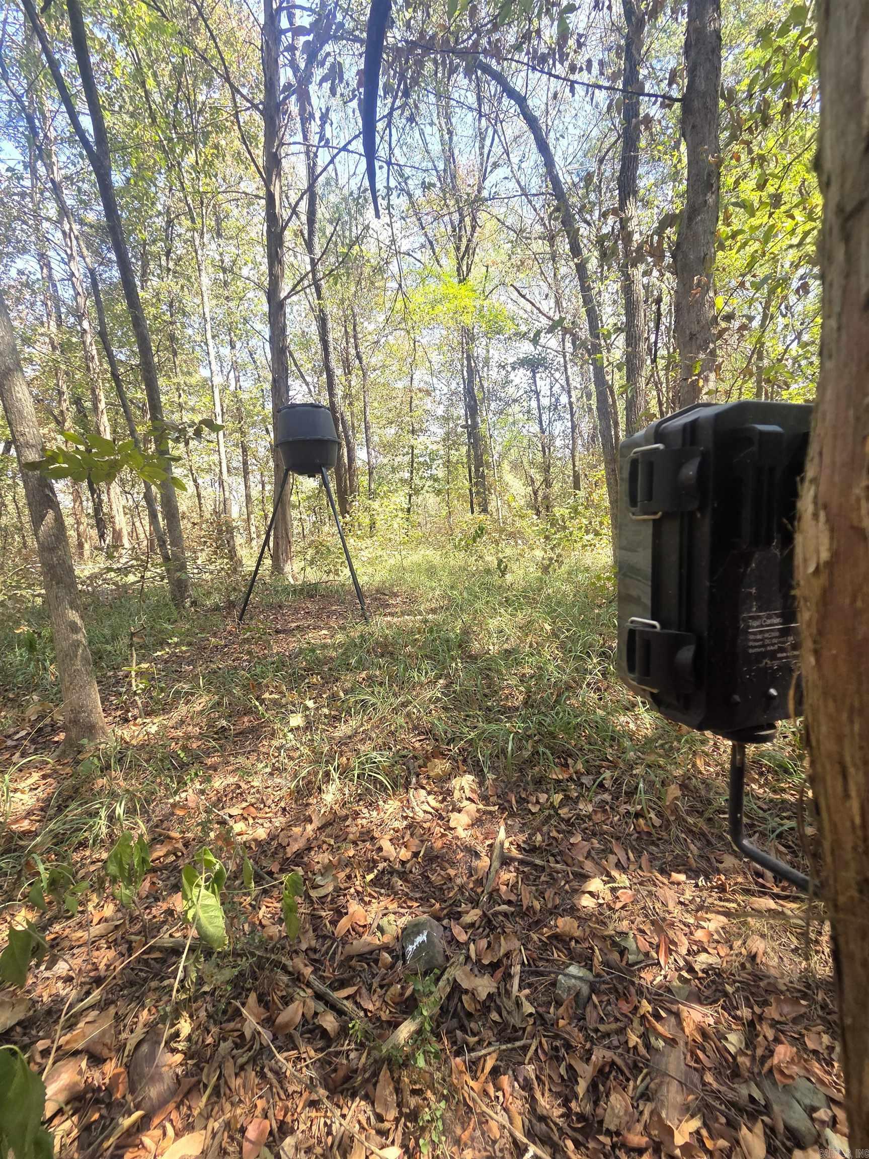 4675 Dooley Road Property Photo 28