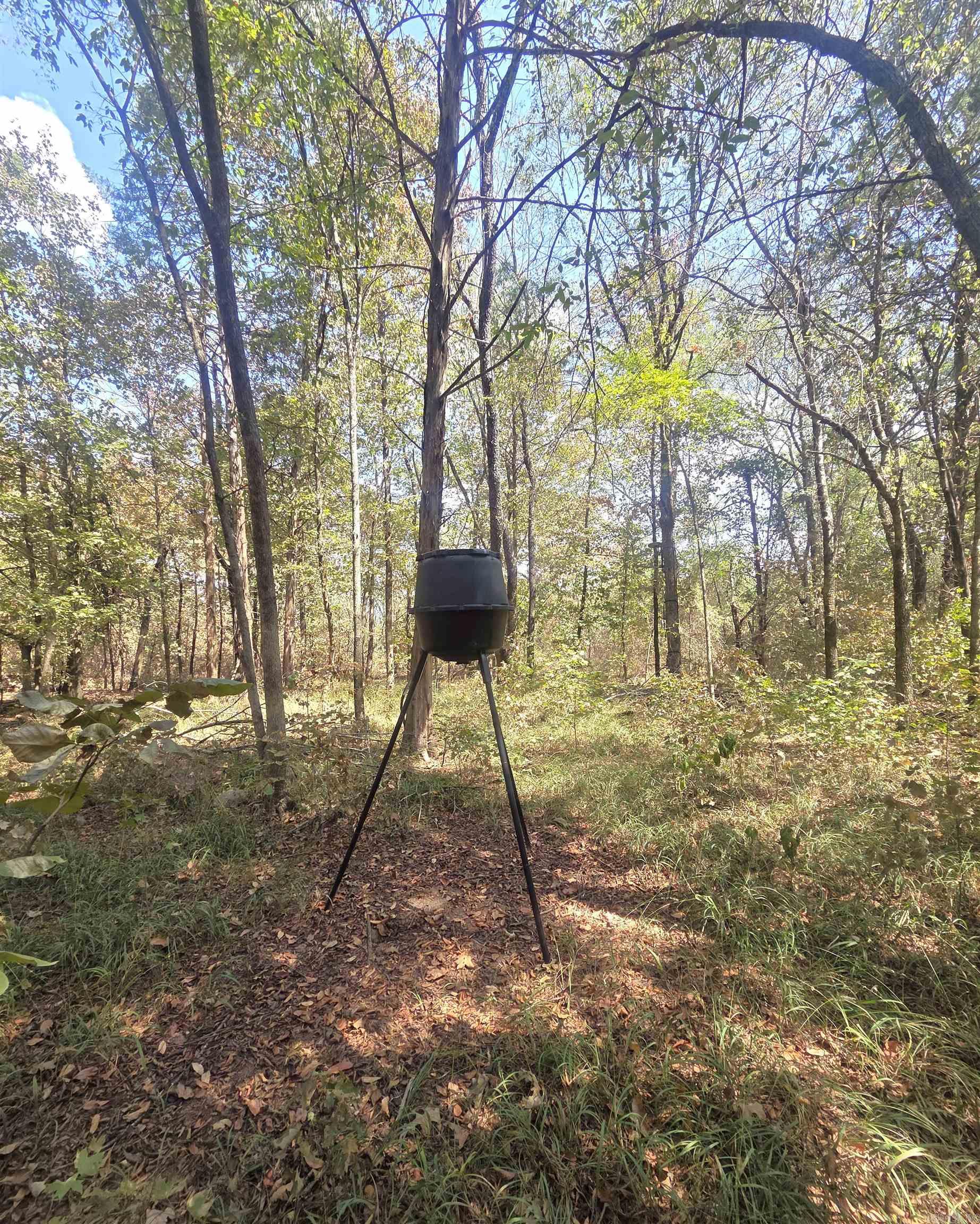 4675 Dooley Road Property Photo 29