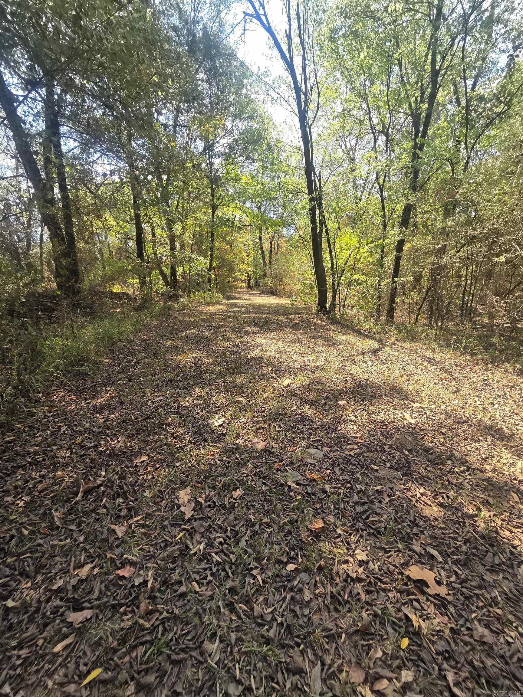 4675 Dooley Road Property Photo 39