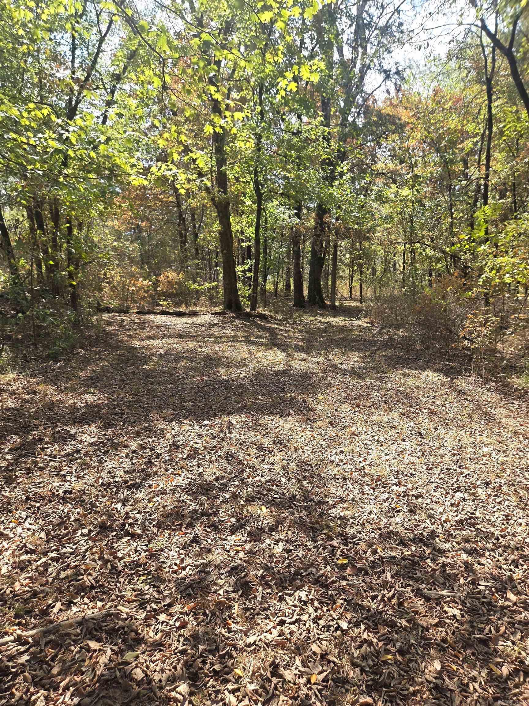 4675 Dooley Road Property Photo 41