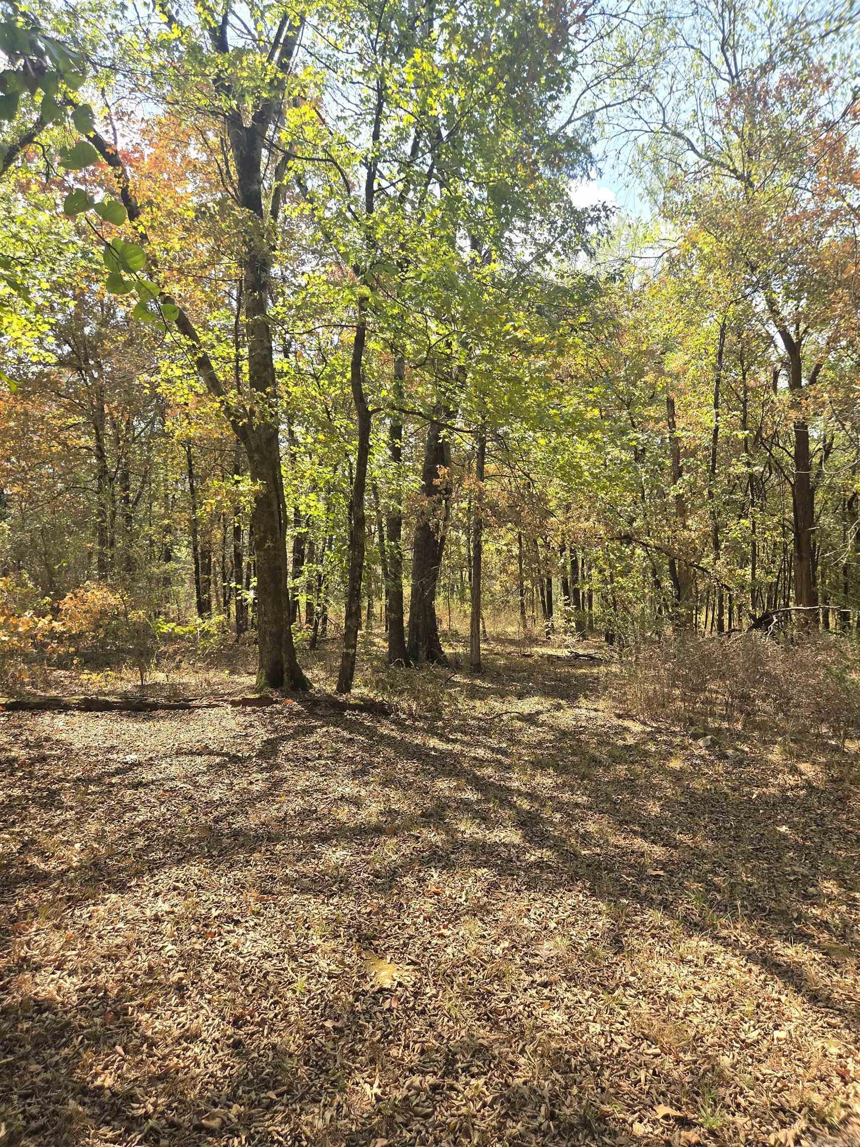 4675 Dooley Road Property Photo 42