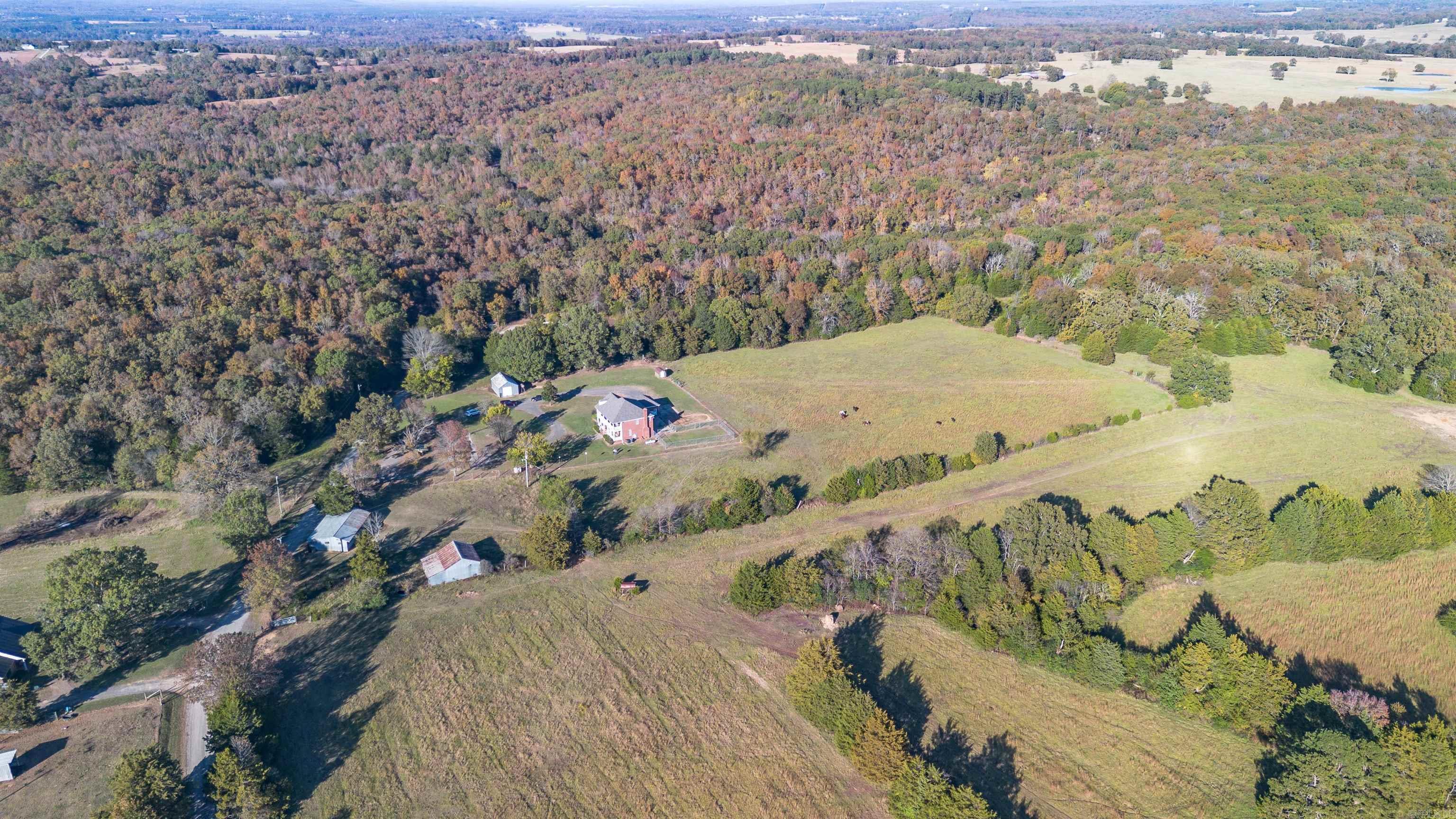 315 Tweedy Property Photo 45