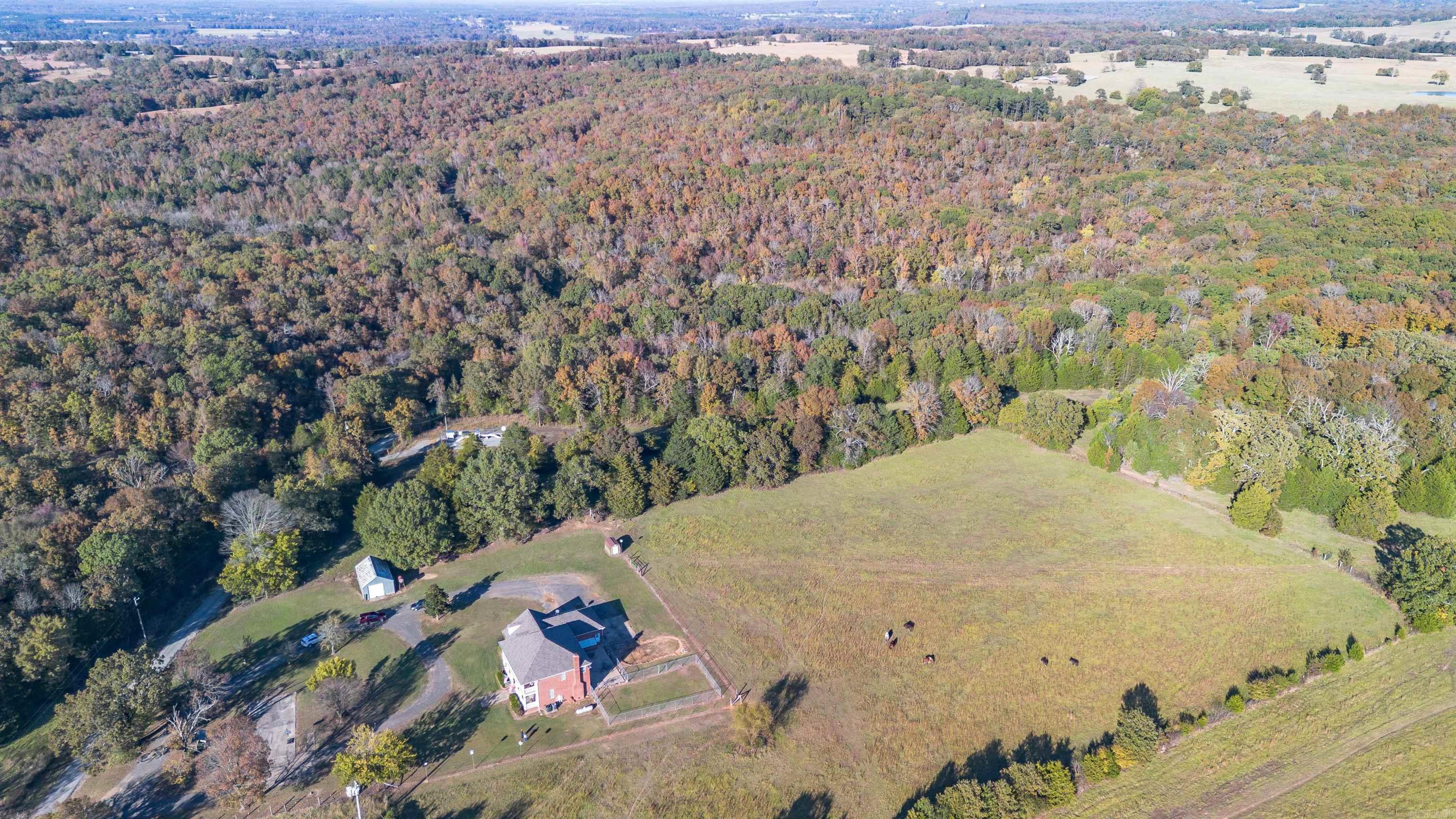 315 Tweedy Property Photo 46