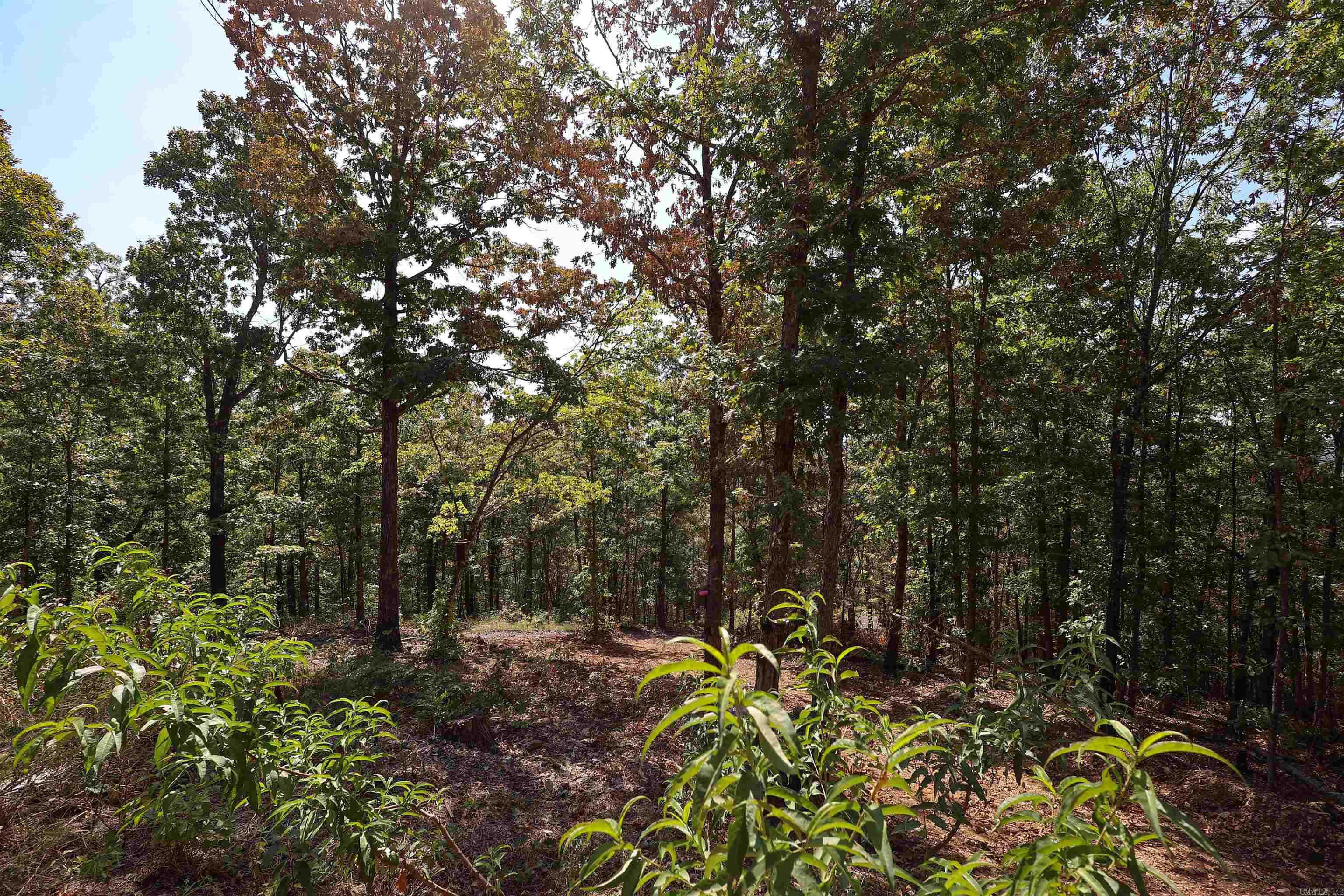 193 Hall Cemetery Road Property Photo 15