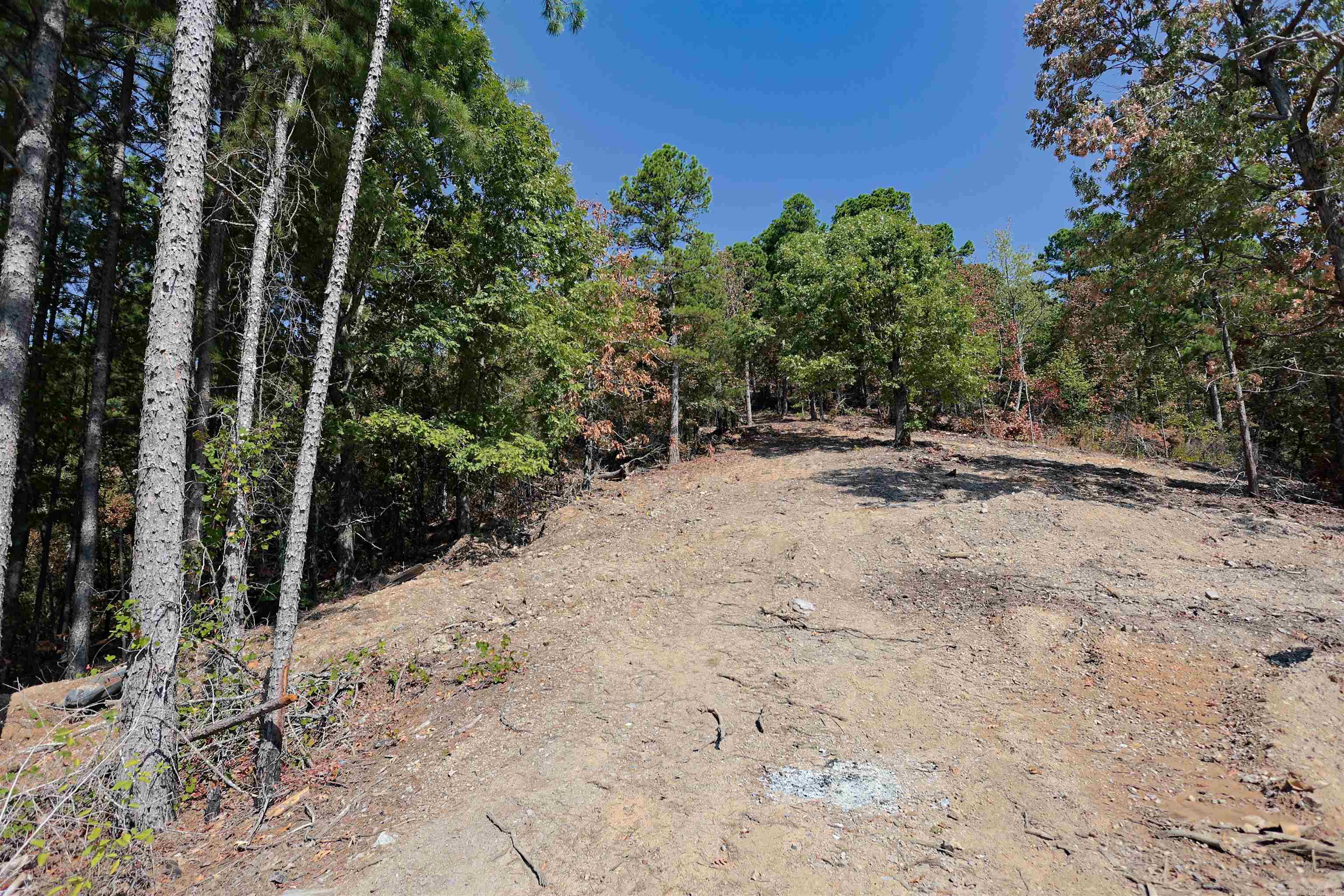 193 Hall Cemetery Road Property Photo 19