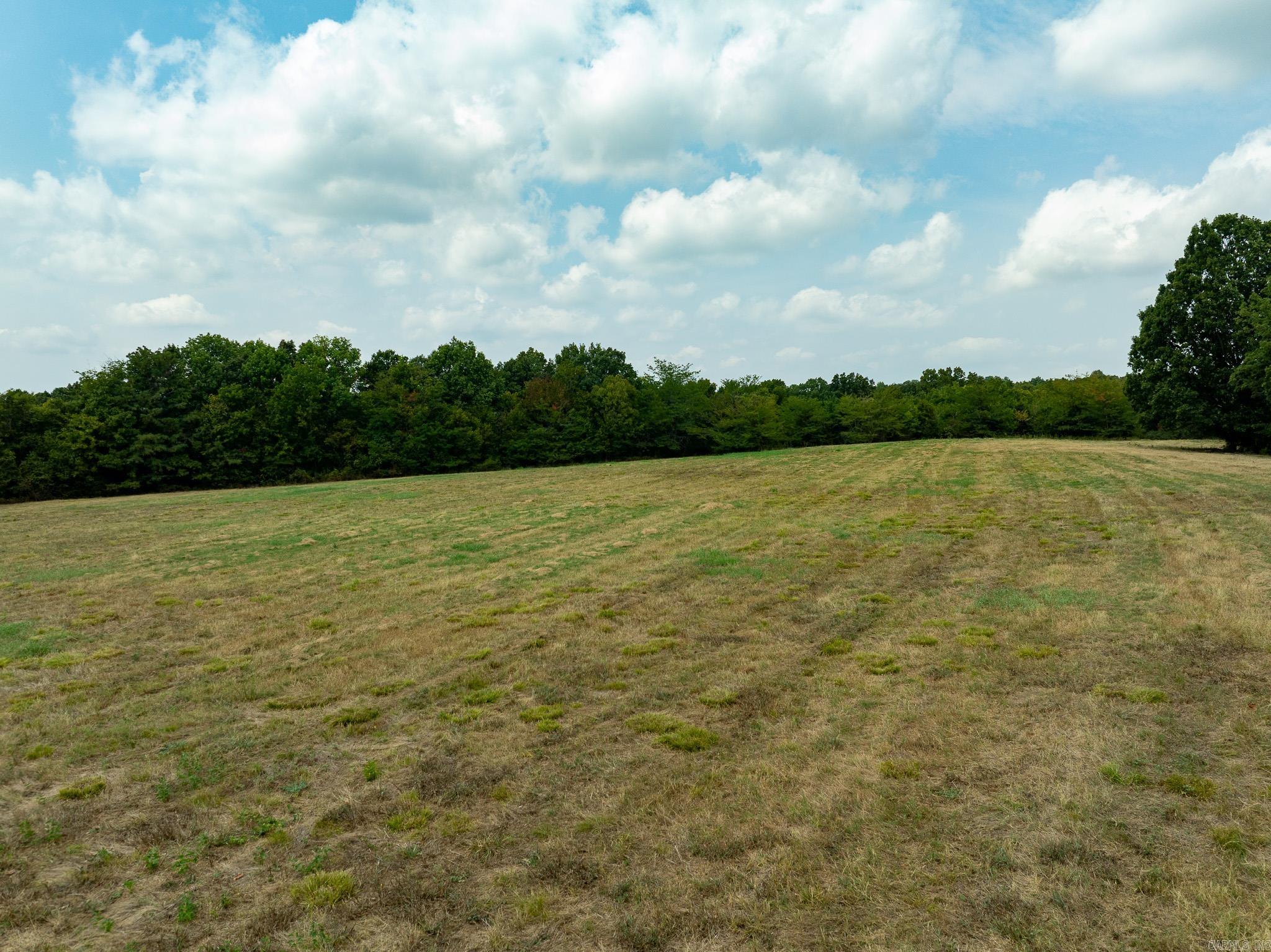 1910 Blackland Property Photo 10