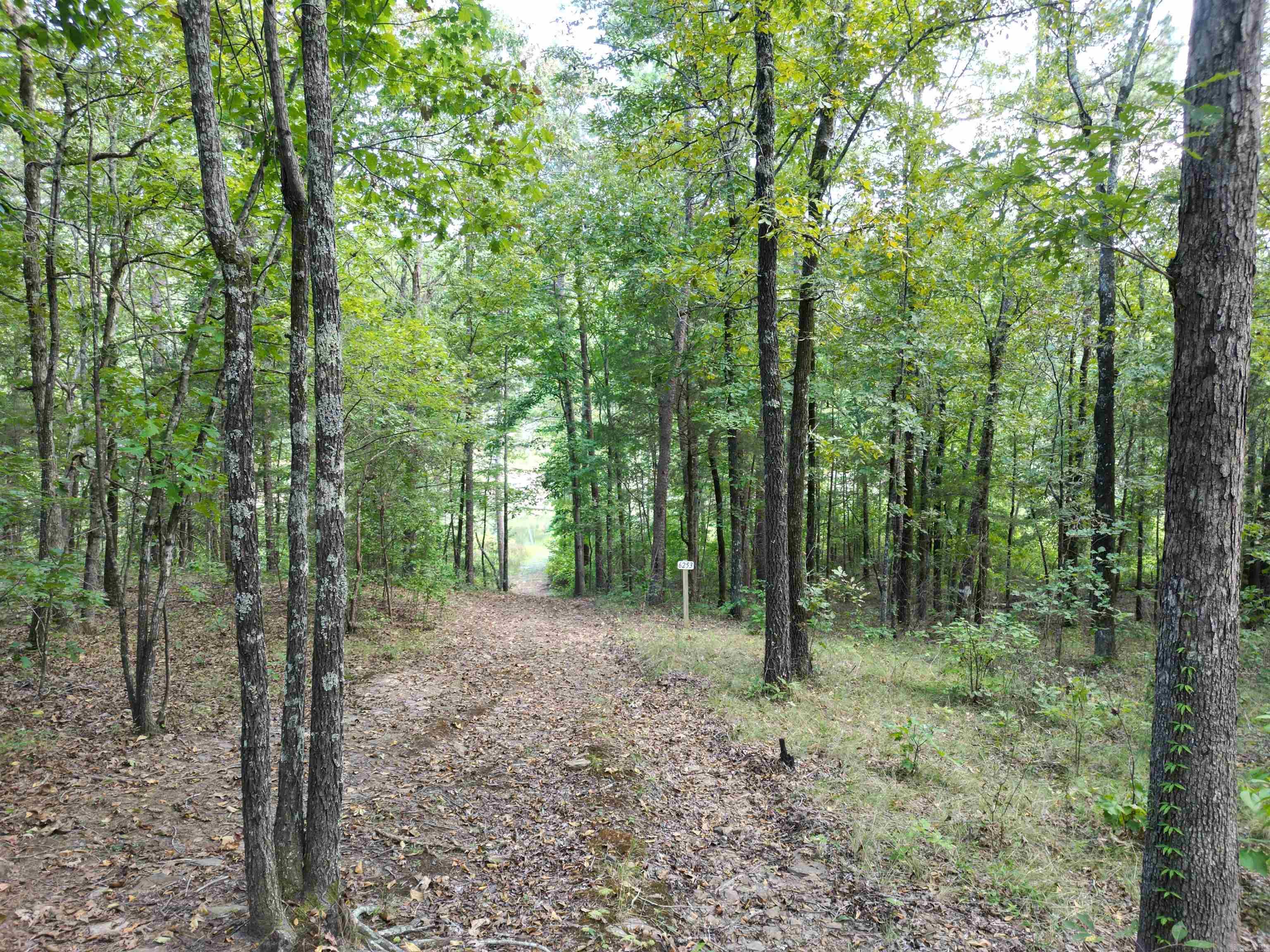 815 Mullens Estates Property Photo 29