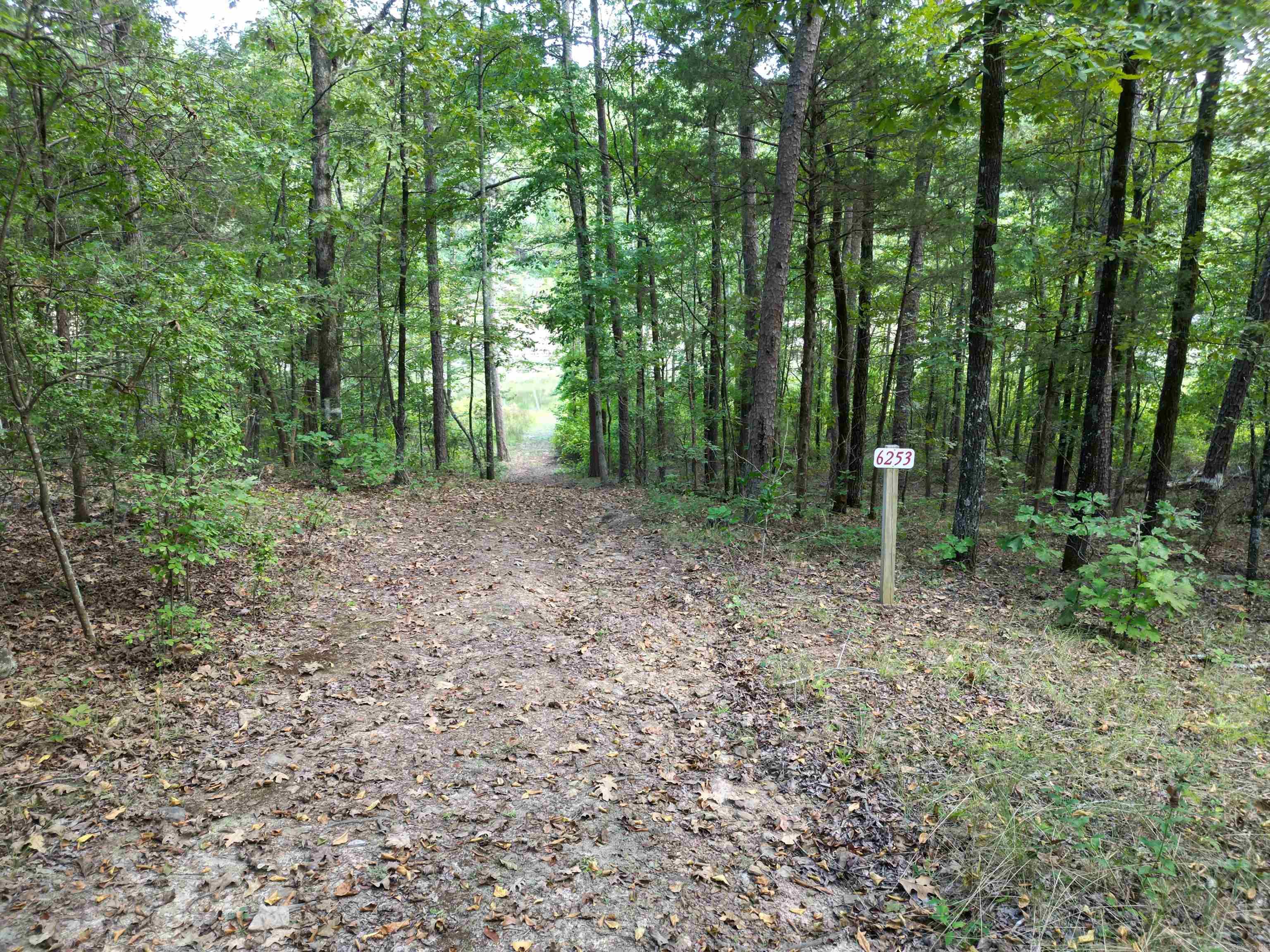815 Mullens Estates Property Photo 30