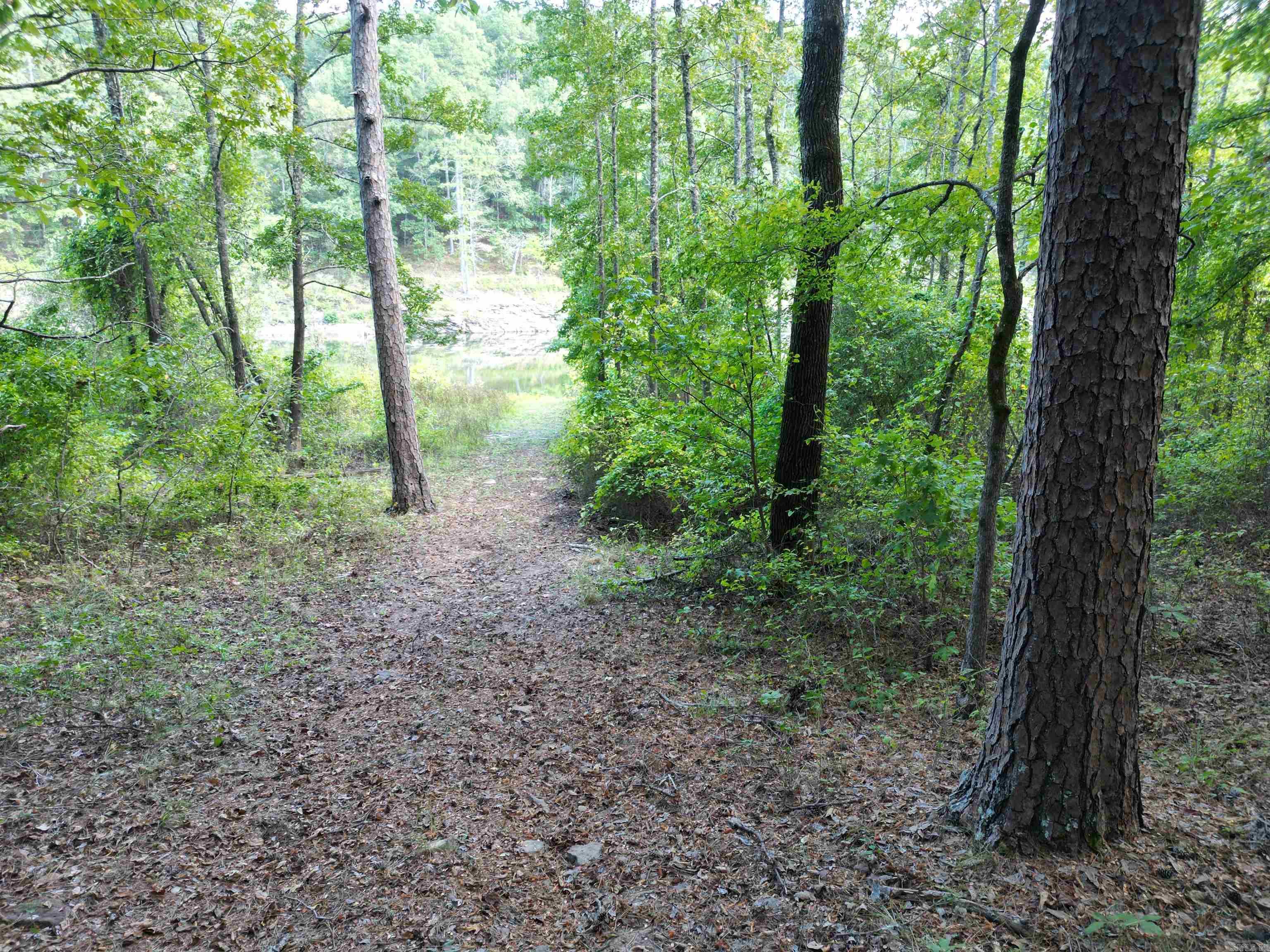 815 Mullens Estates Property Photo 31