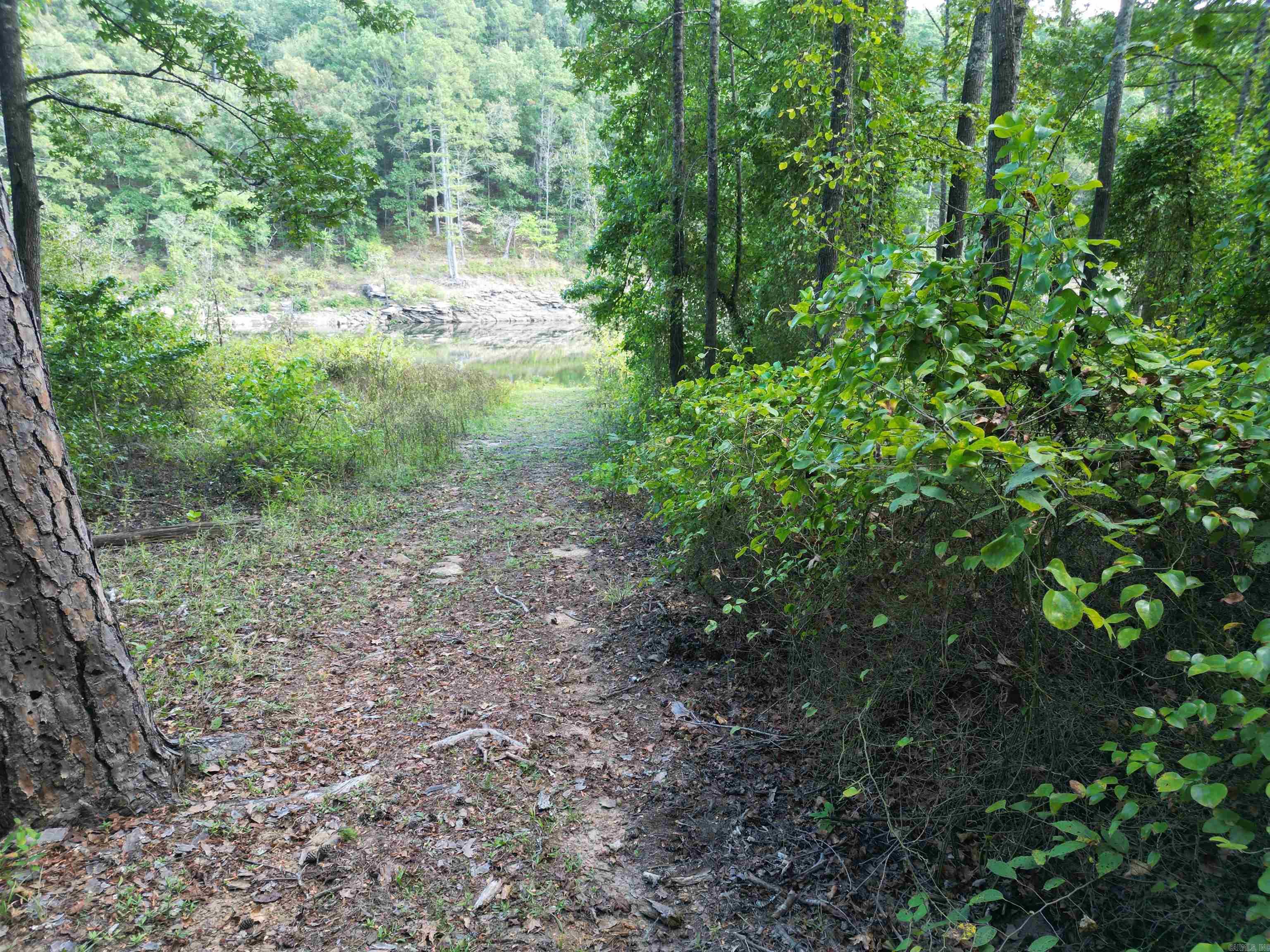 815 Mullens Estates Property Photo 32