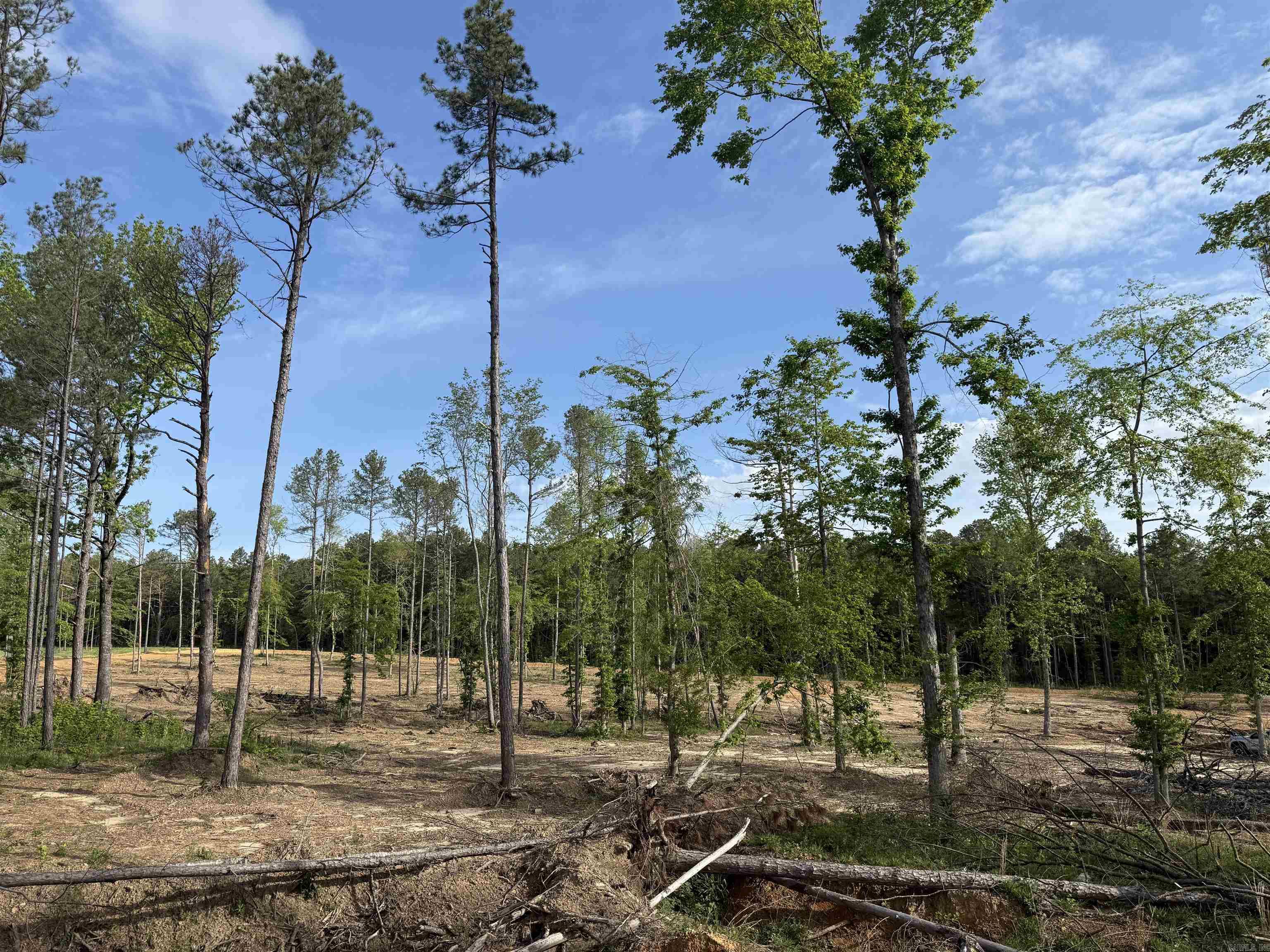 Tbd Little Rock Road Property Photo 3