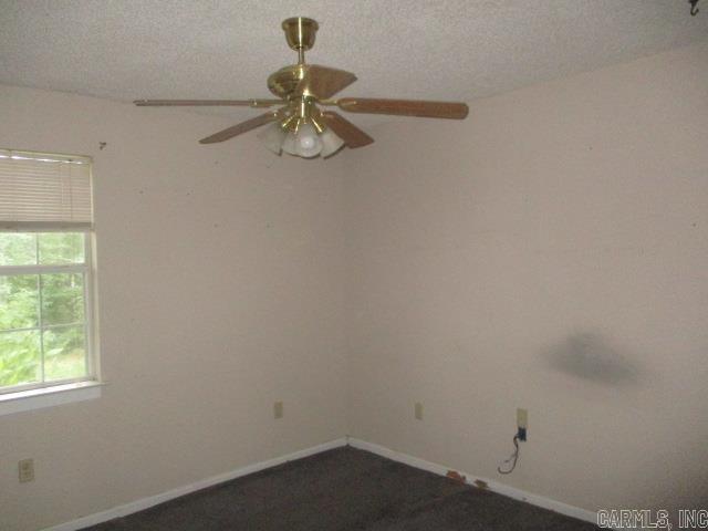 10625 Laddie Dr Property Photo 9