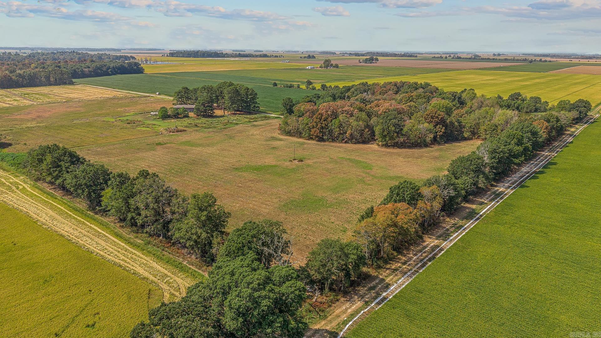2 Clay 186 Road Property Photo 6