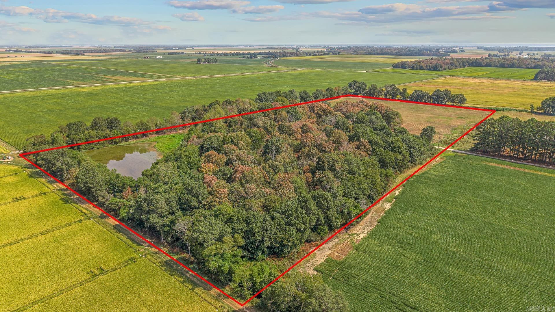 2 Clay 186 Road Property Photo 7