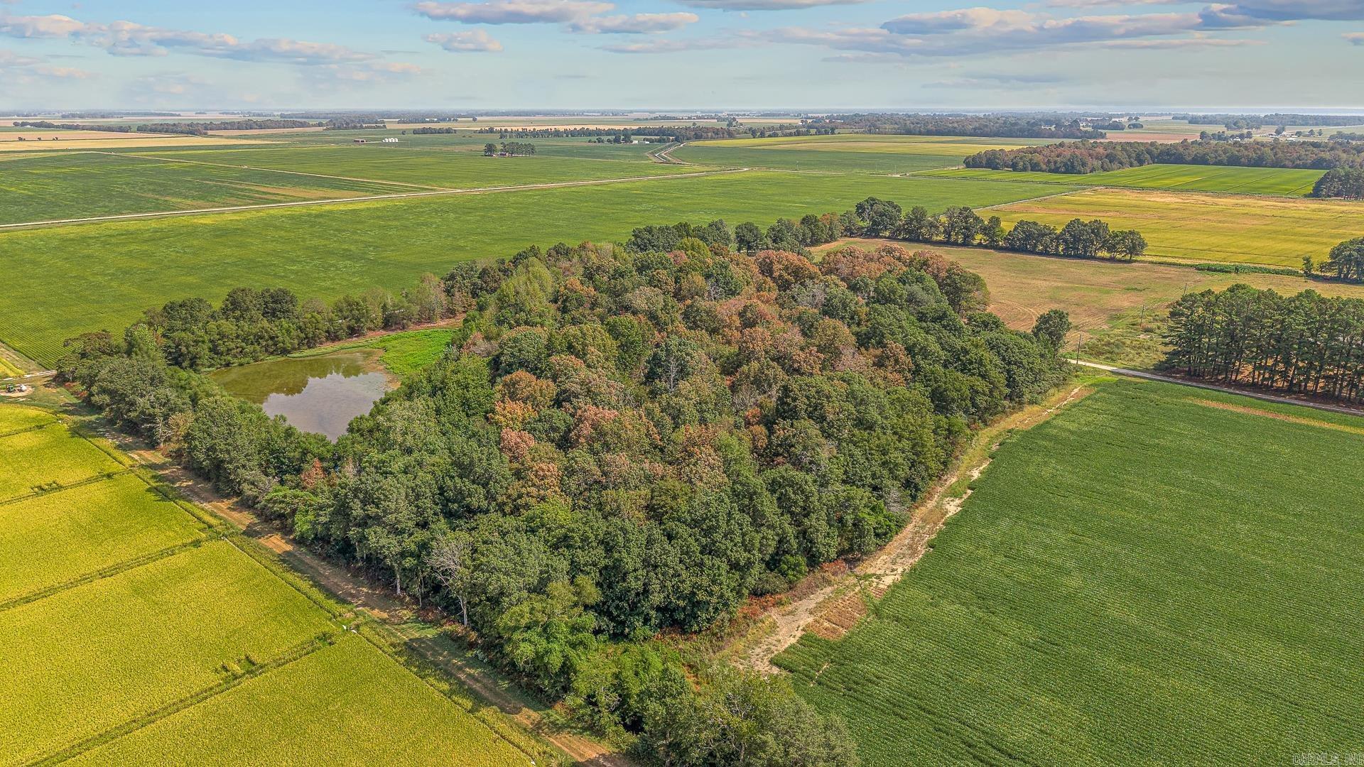 2 Clay 186 Road Property Photo 8
