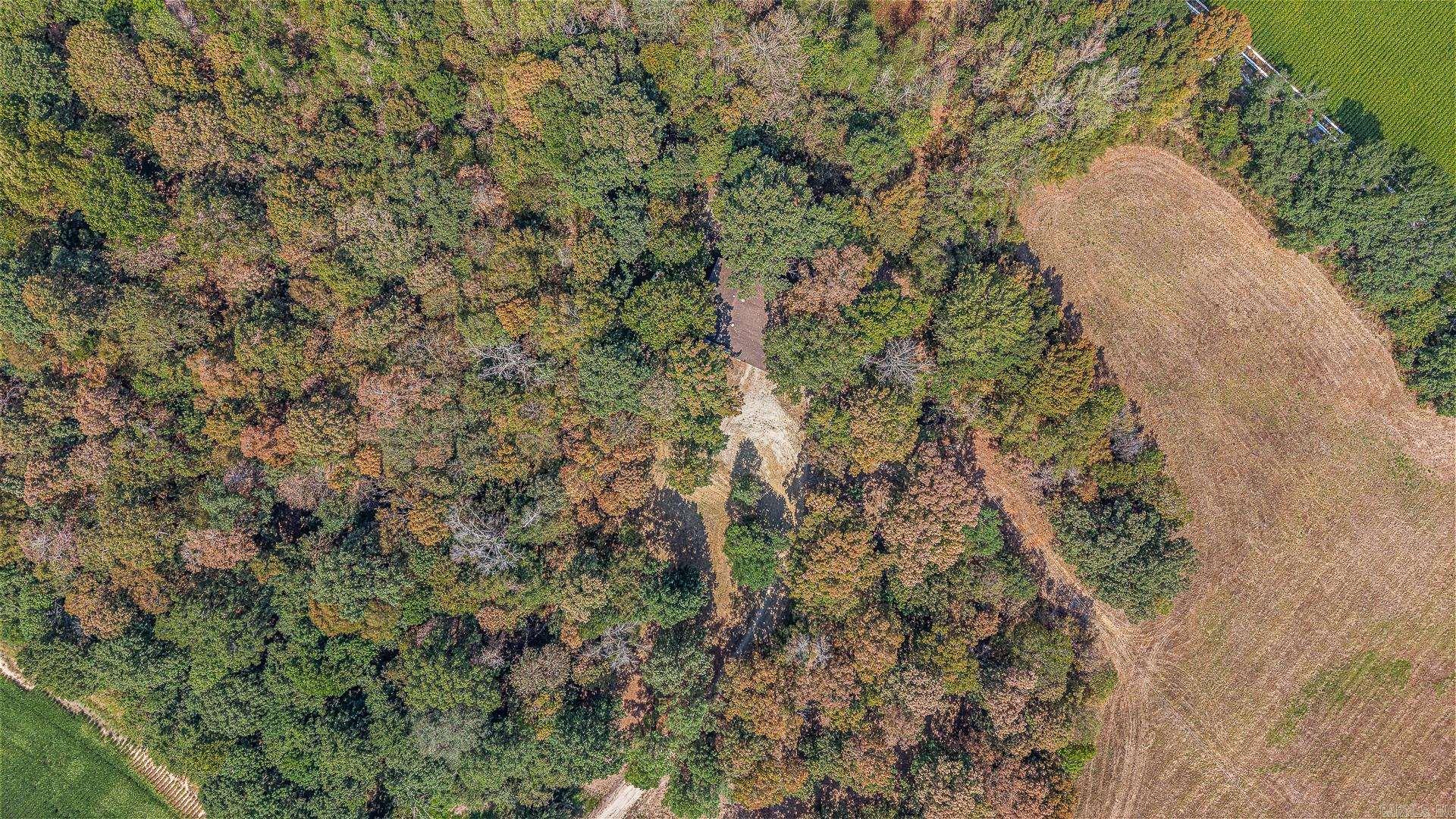 2 Clay 186 Road Property Photo 12