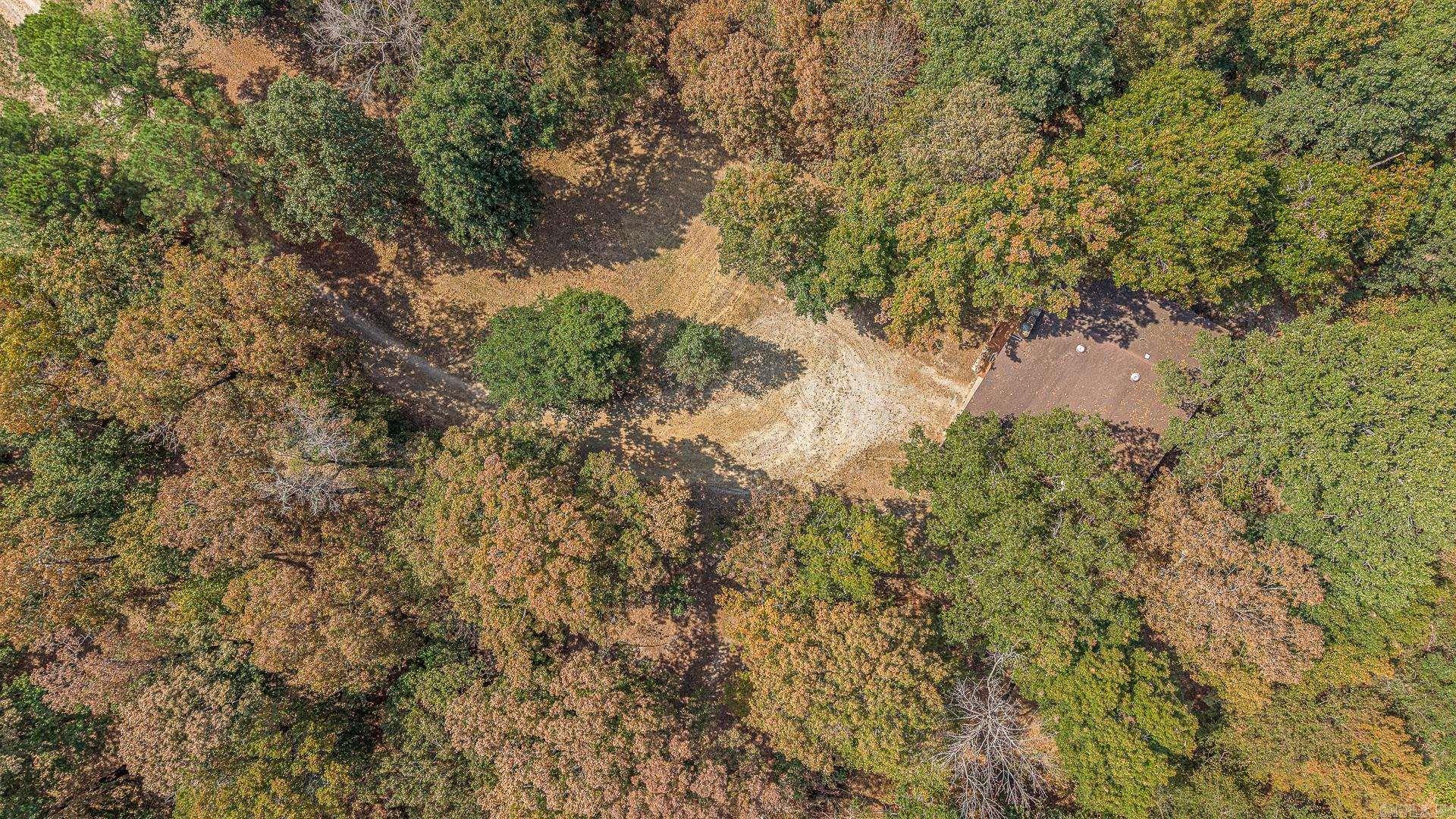 2 Clay 186 Road Property Photo 15