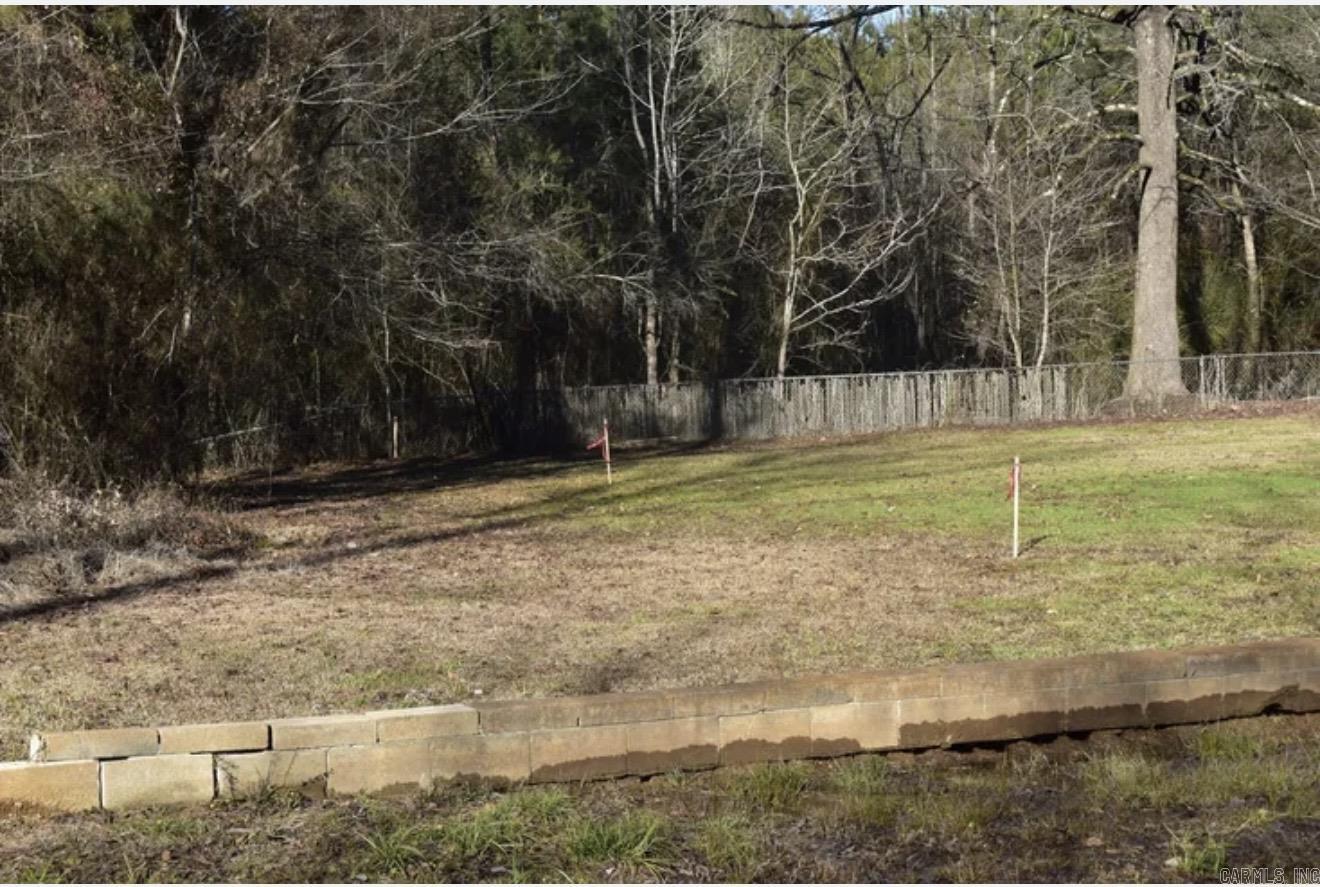 670 Mount Willow Property Photo 2