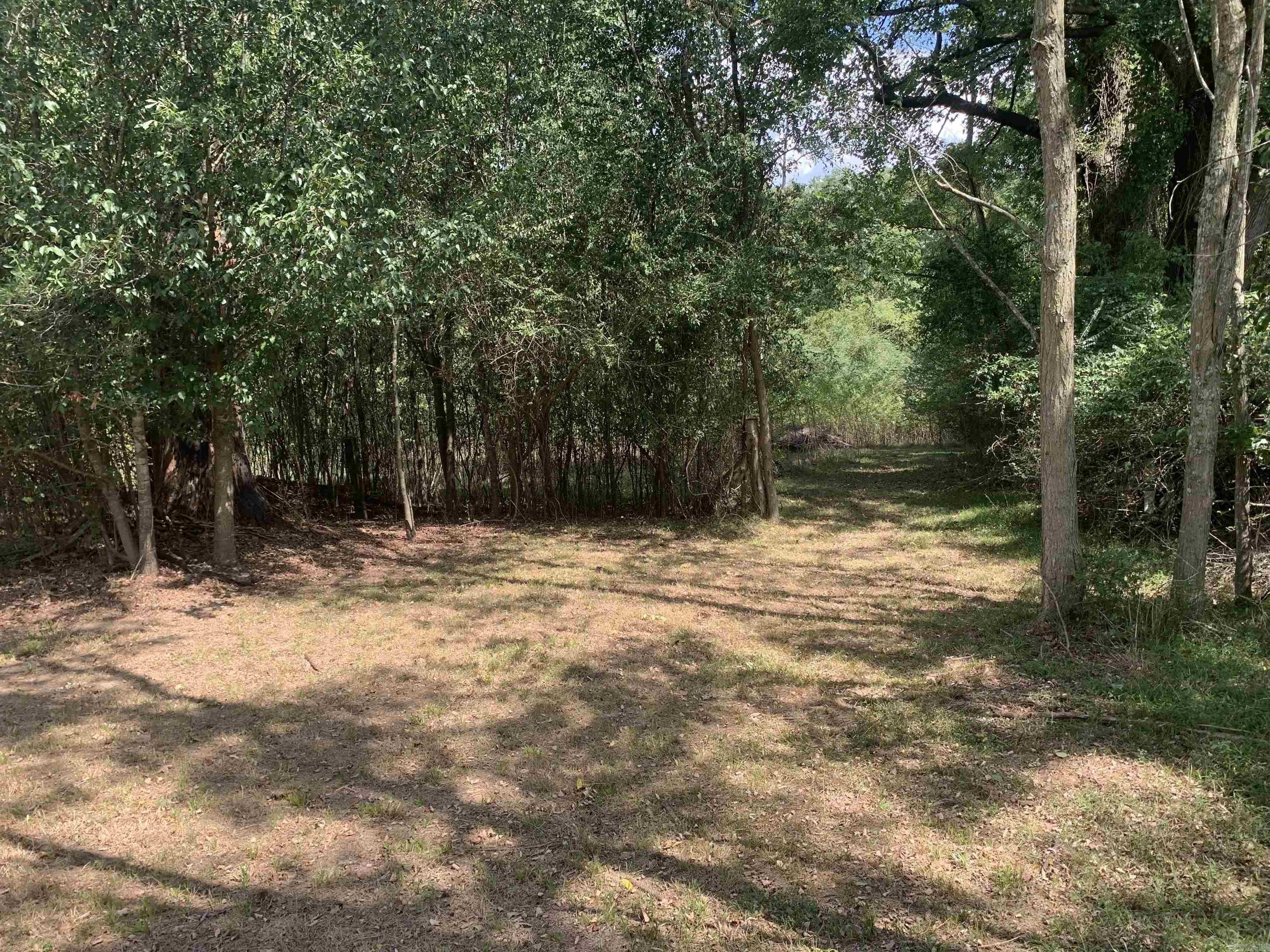 1005 S Bradley Street Property Photo 26
