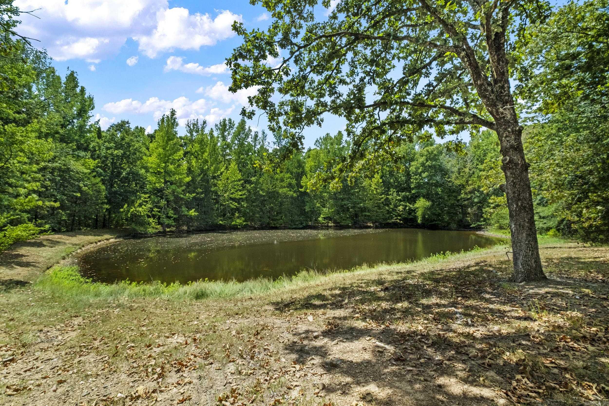 8919 Backpacker Lane Property Photo 43