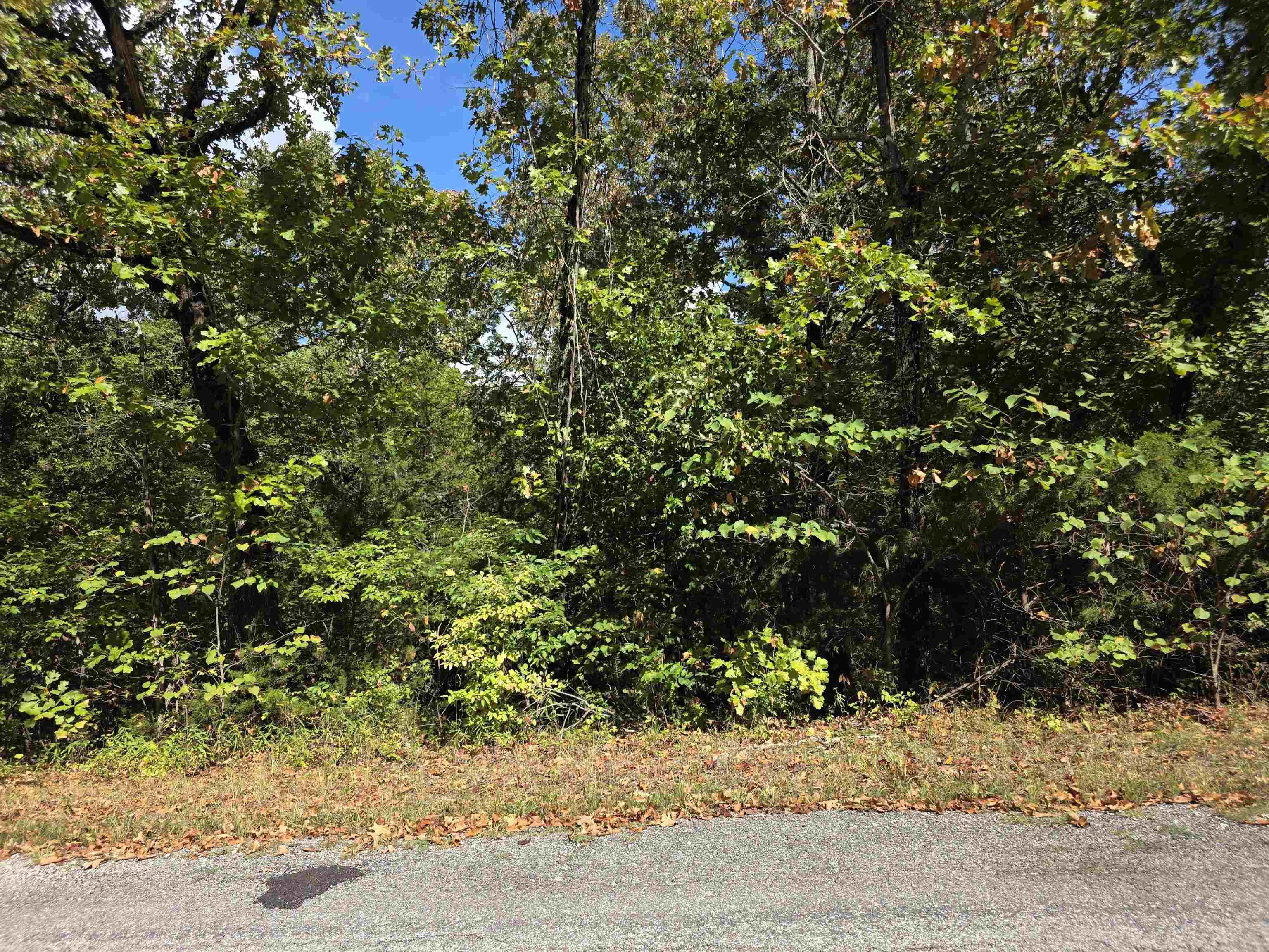 704 N Parkway Lane Property Photo 3