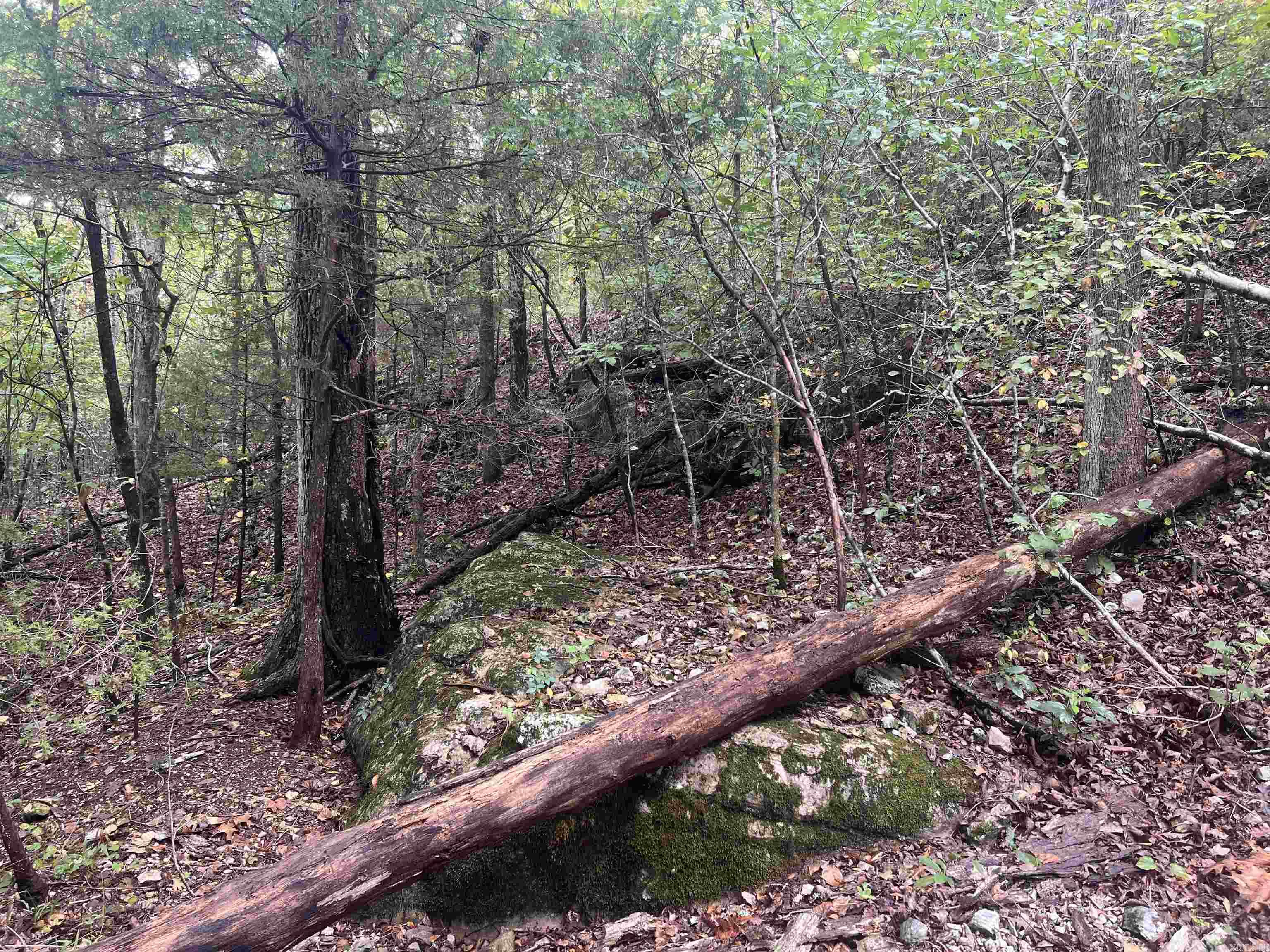 4210 Red Bluff Rd. Property Photo 10