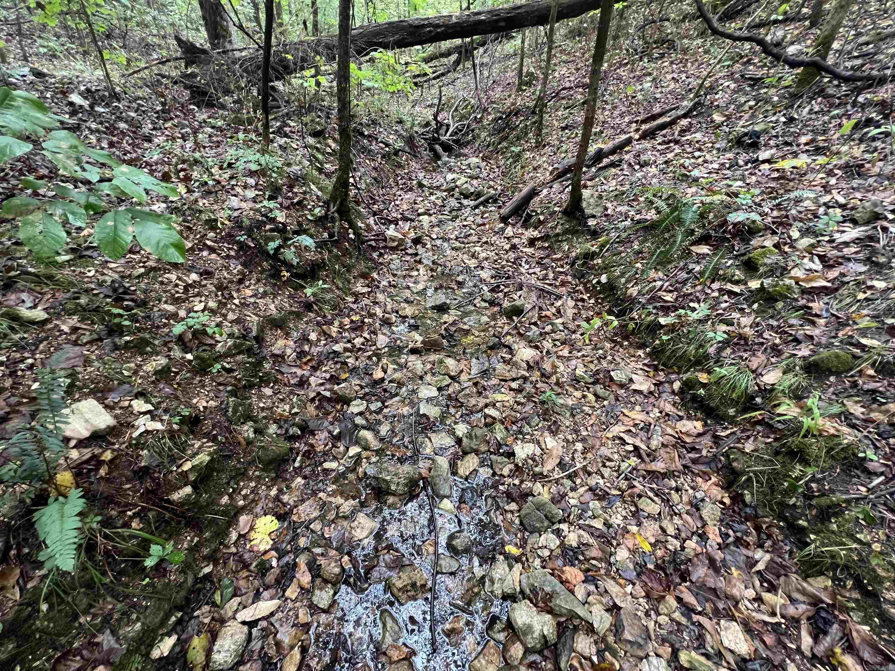 4210 Red Bluff Rd. Property Photo 12