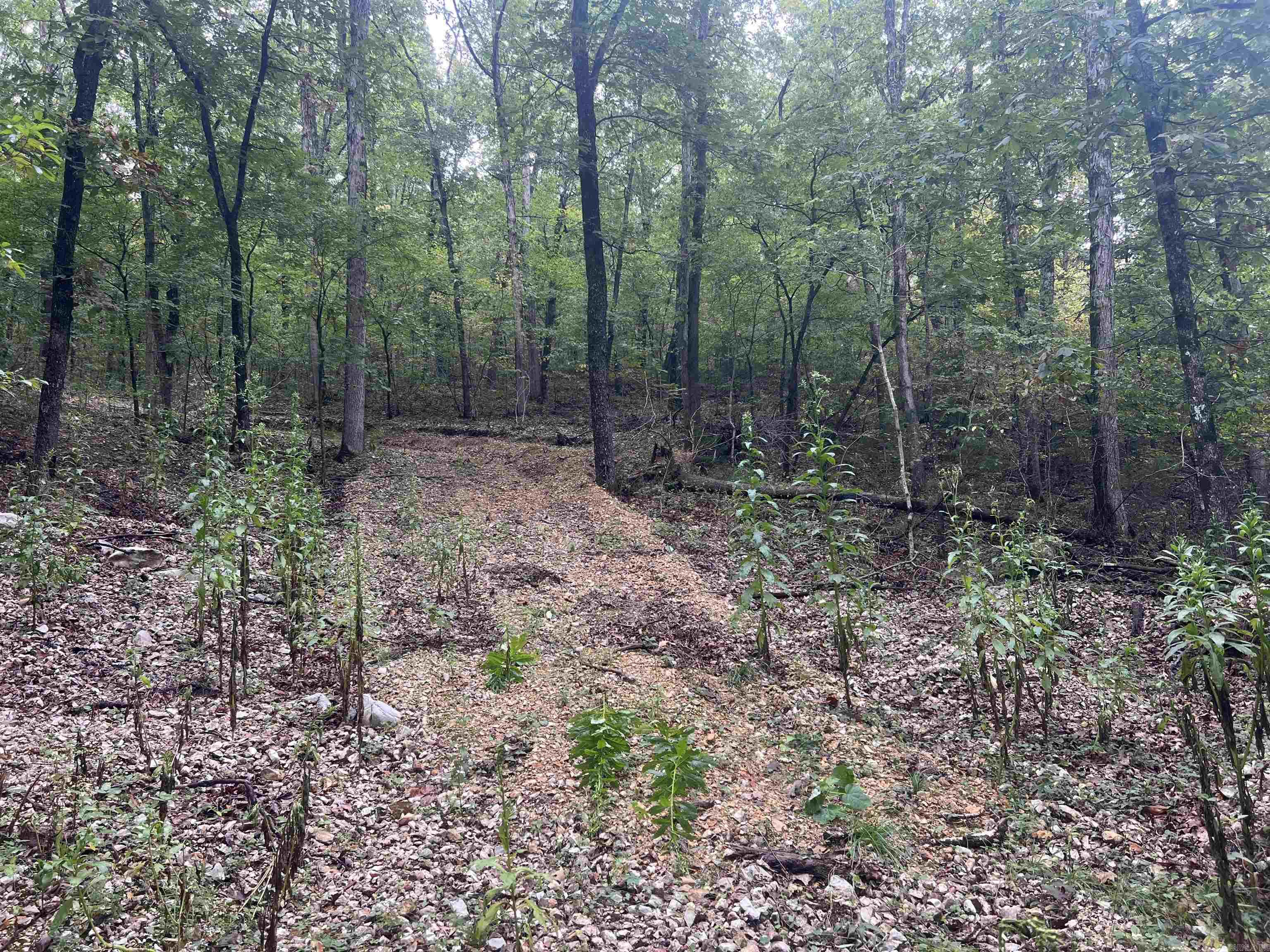 4210 Red Bluff Rd. Property Photo 13