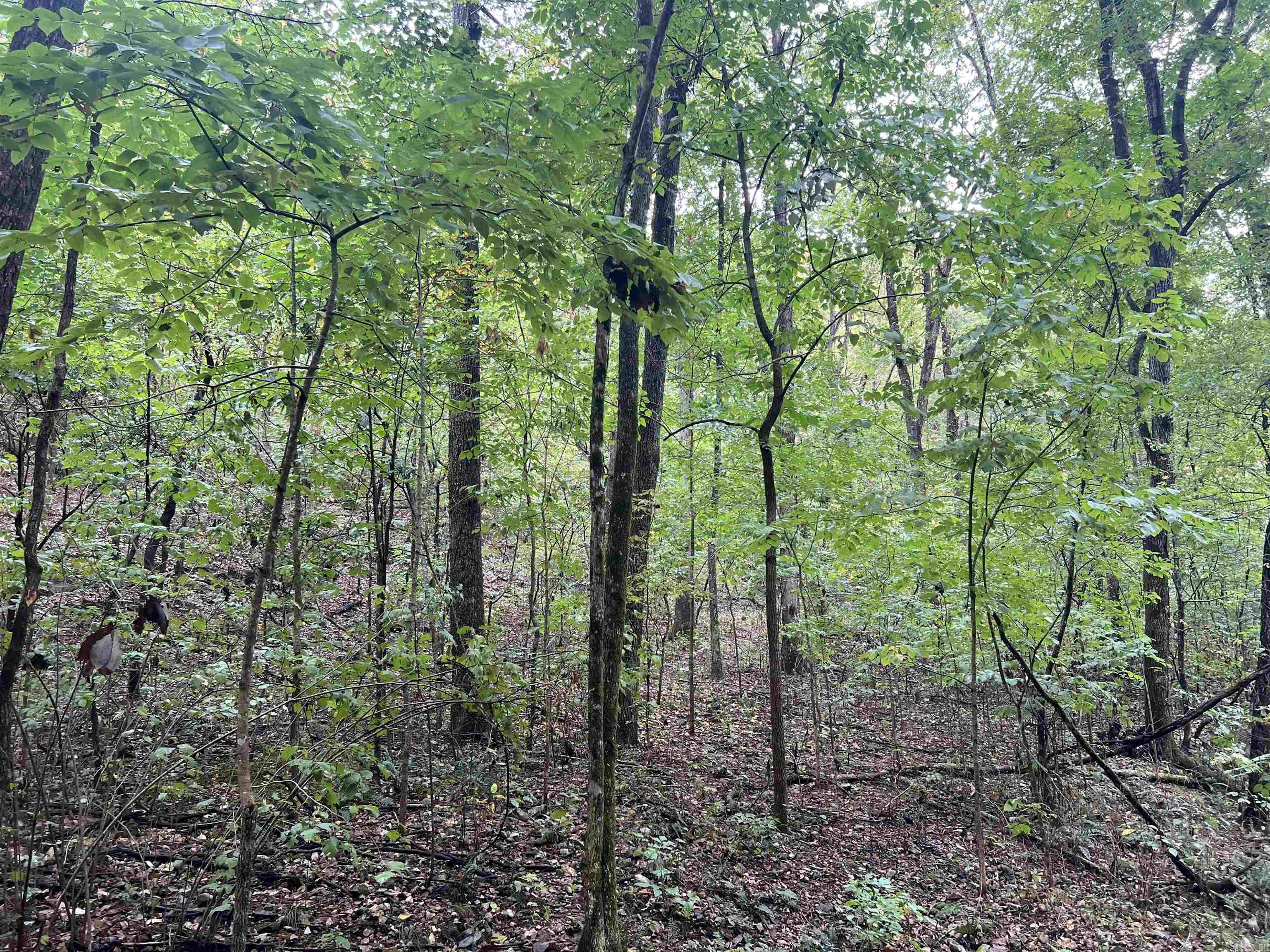 4210 Red Bluff Rd. Property Photo 18