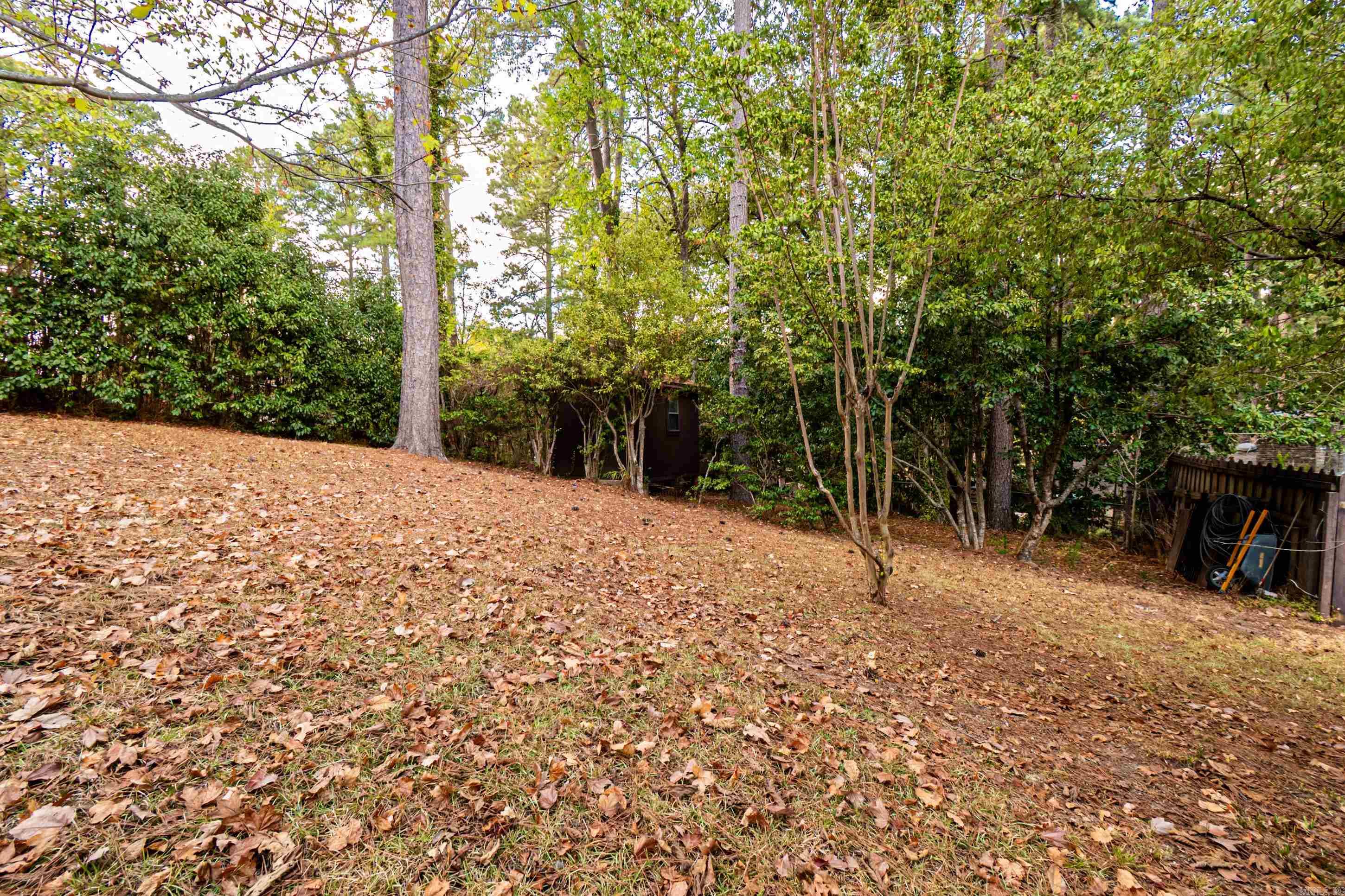 2508 Forest Lawn Dr Property Photo 6