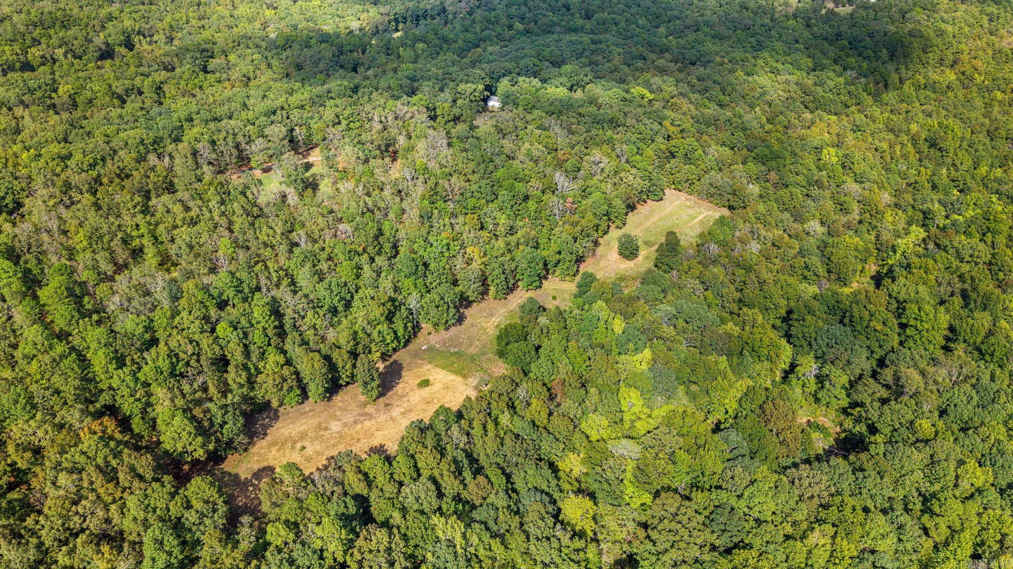 37211 Hwy 300 Property Photo 38